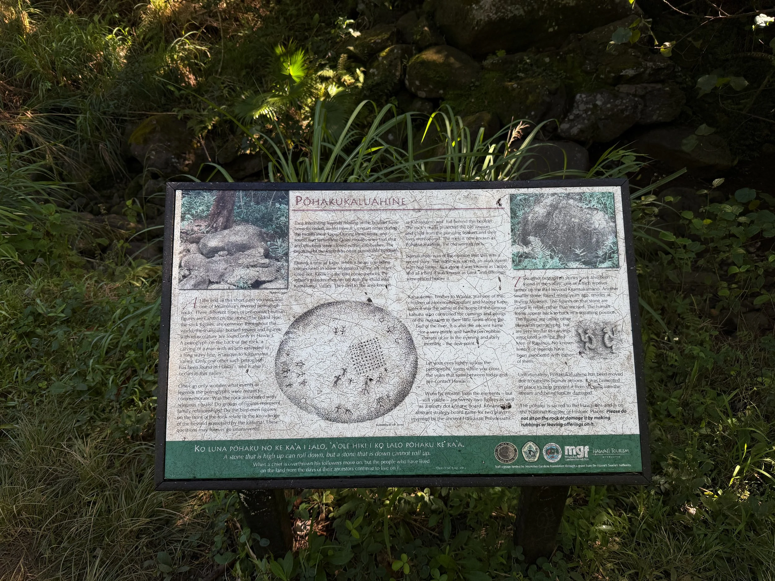 Tripler Ridge Trail via Kamananui Valley Road Oahu Hawaii