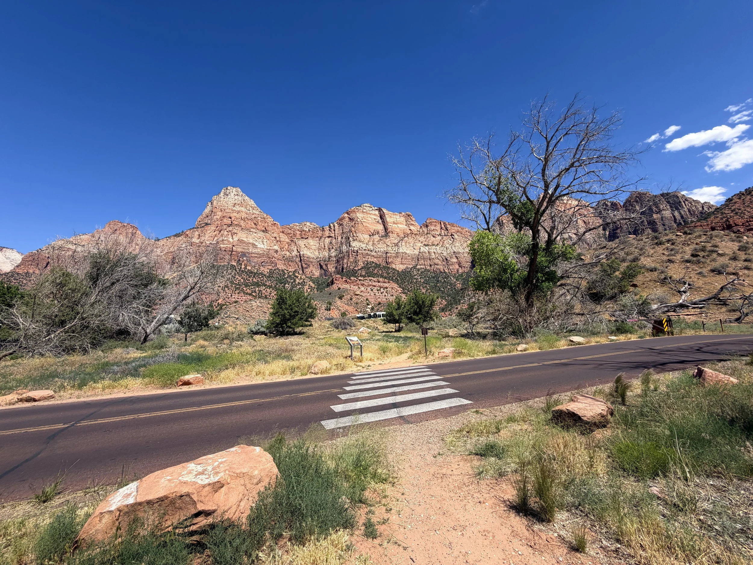 Archaeology Trail Zion National Park Utah
