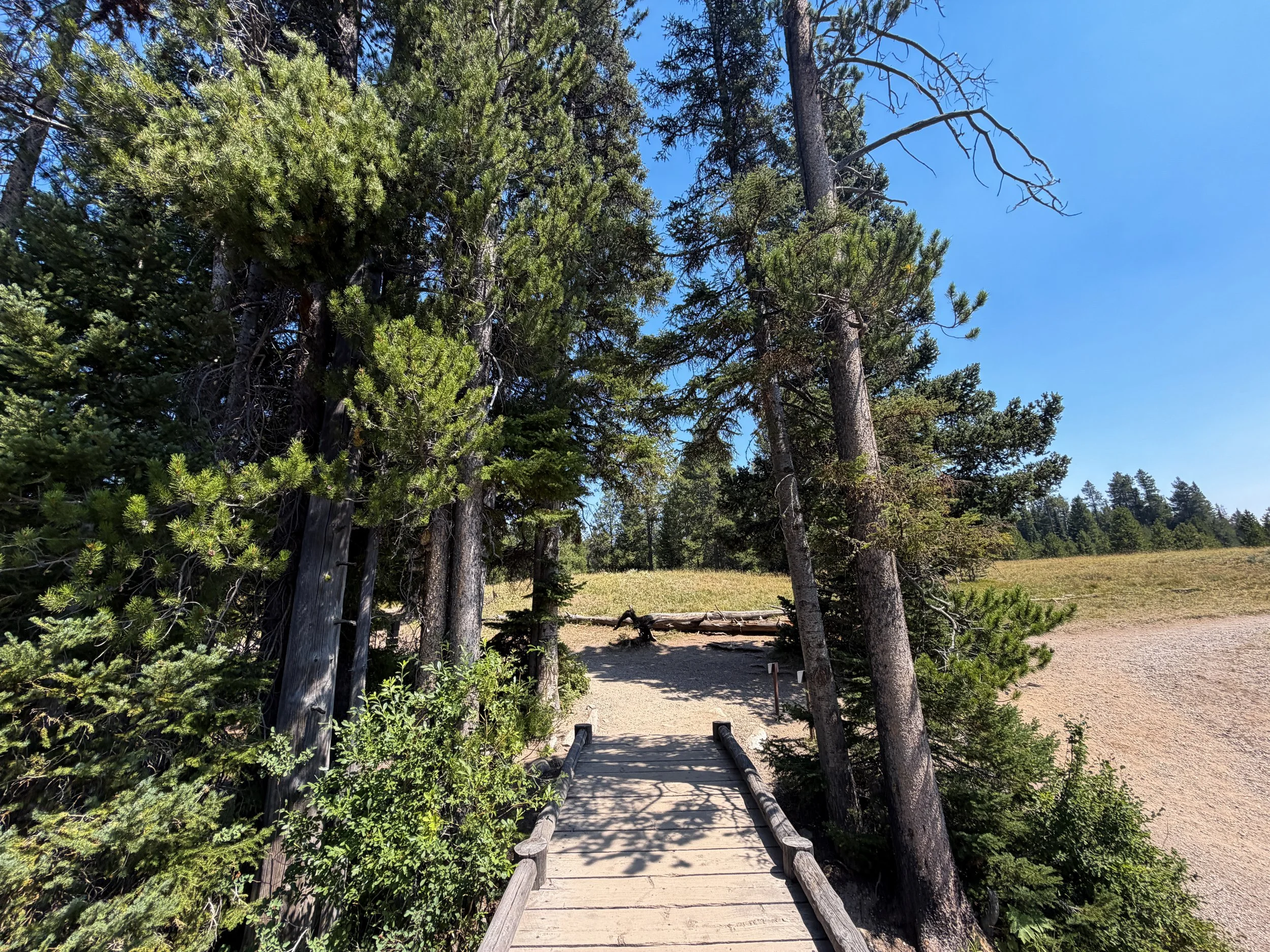 String Lake Loop Trail Grand Teton National Park Wyoming