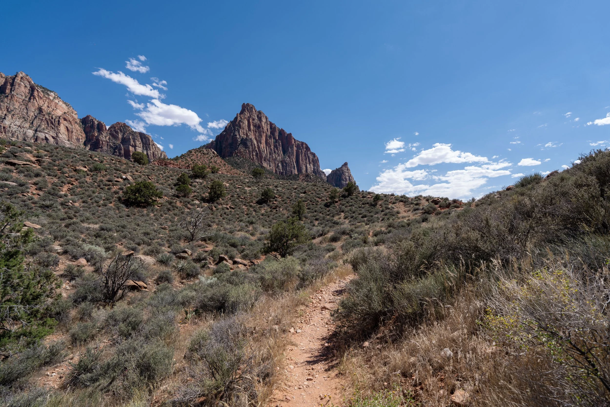 Archaeology Trail Zion National Park Utah