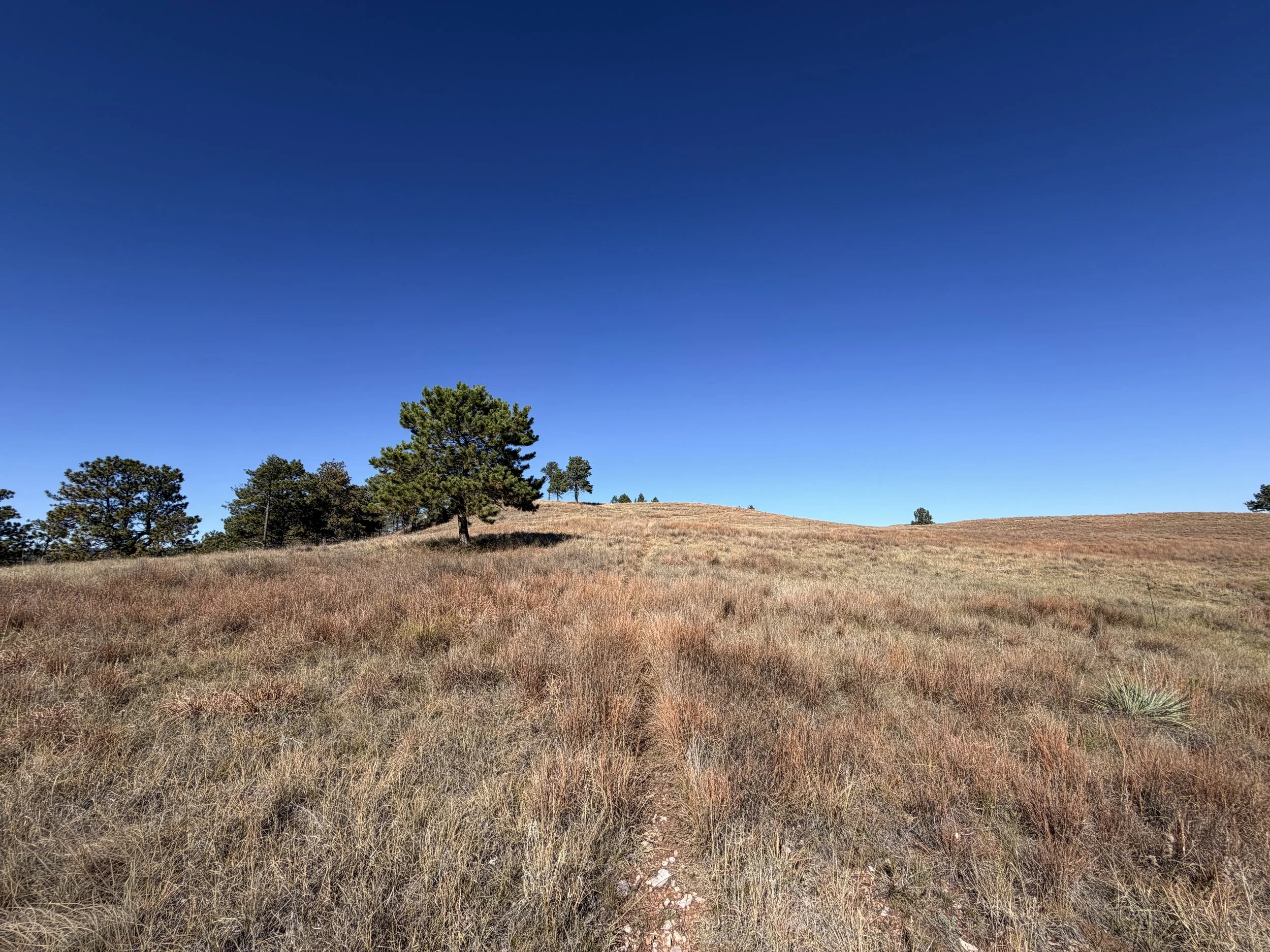 East Bison Flats Trail Wind Cave National Park South Dakota