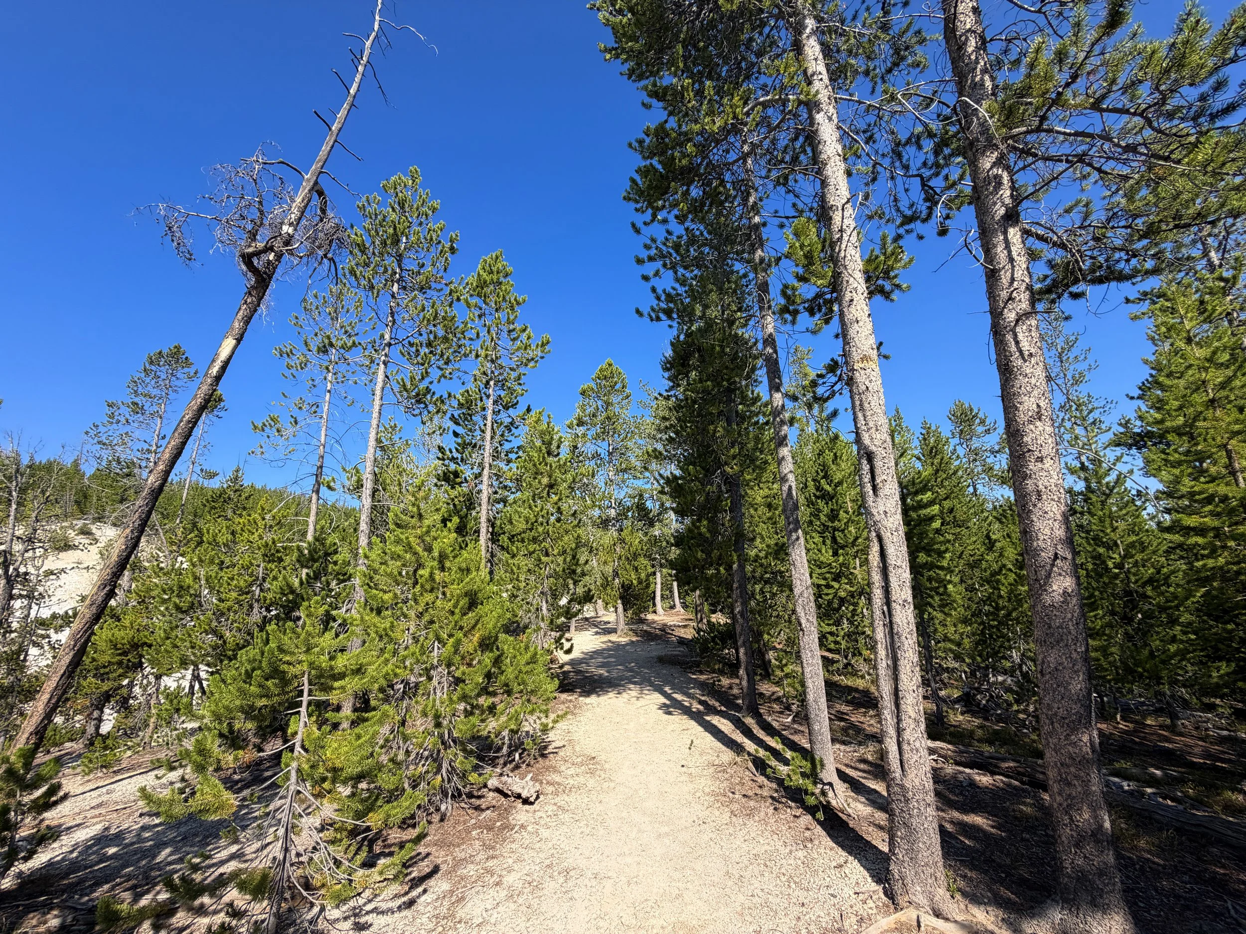 Monument Geyser Basin Hike Yellowstone National Park Wyoming