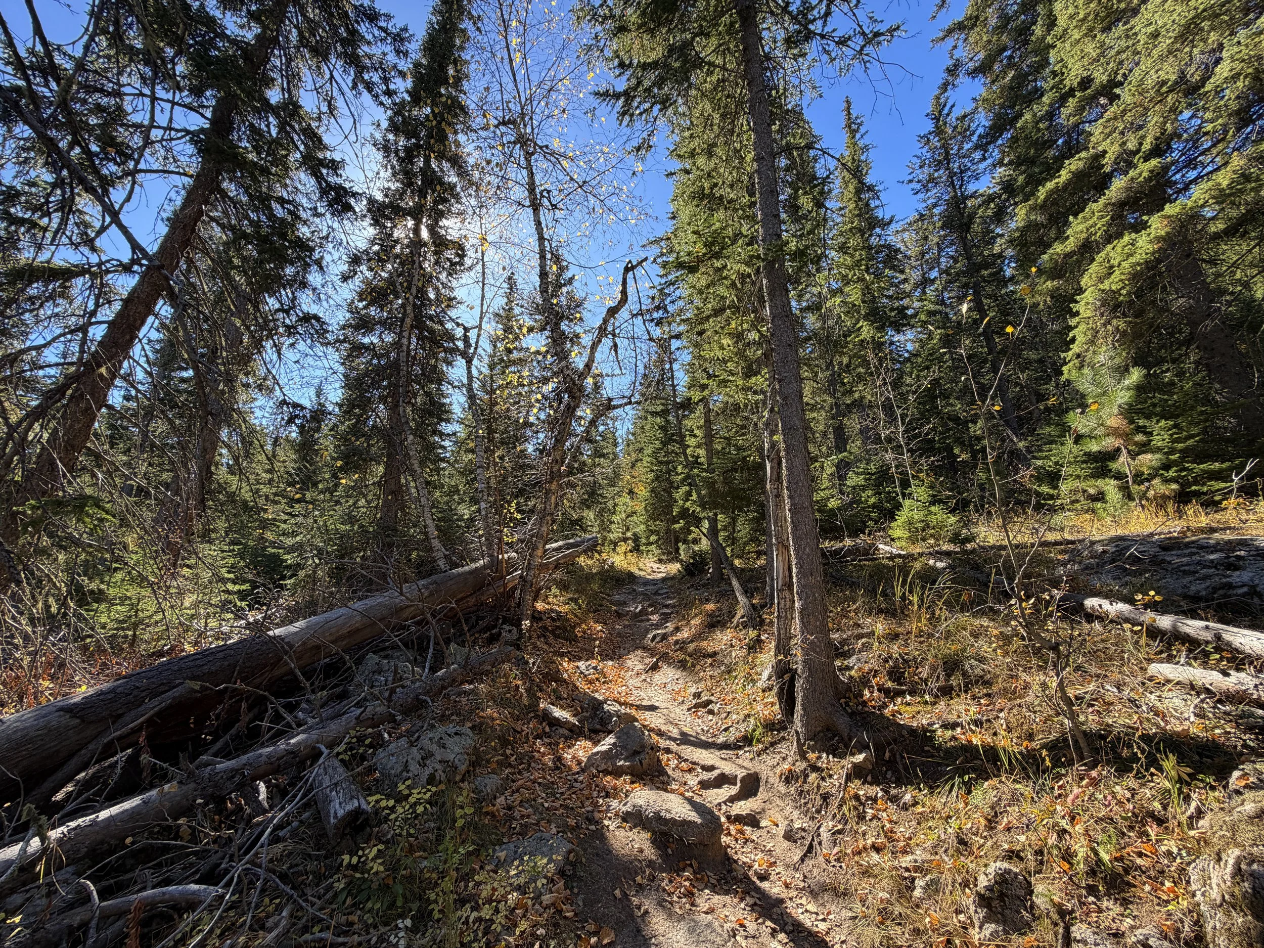Sunday Gulch Trail Custer State Park Black Hills South Dakota