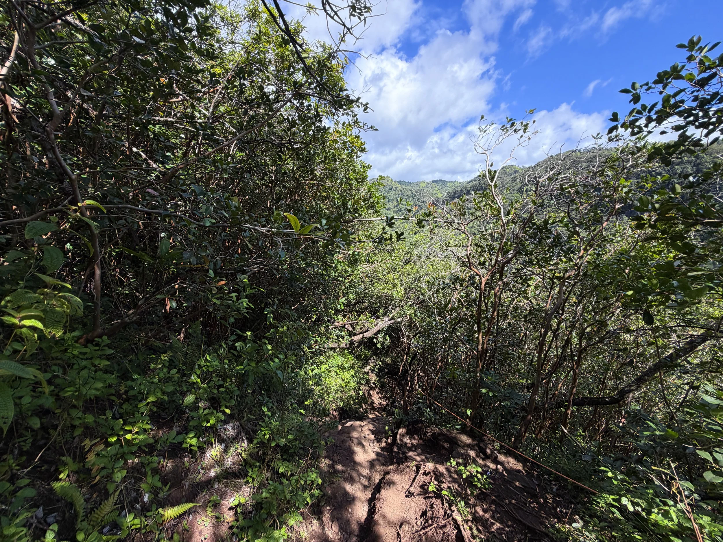 Waimano Pools Hike Oahu Hawaii