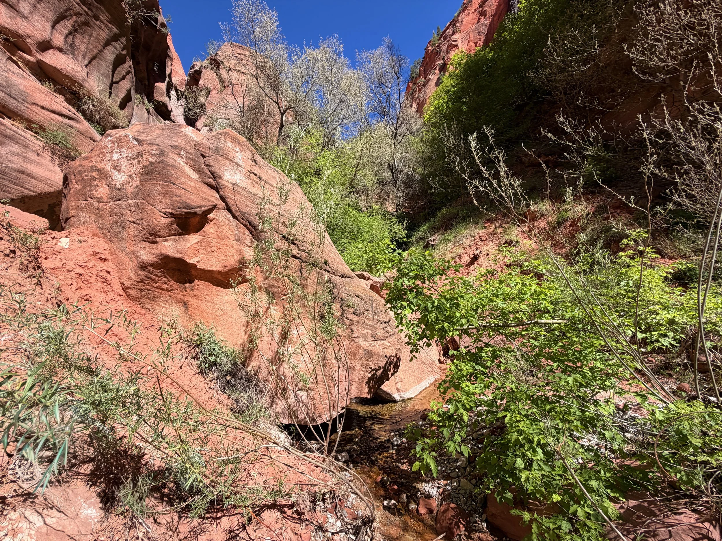 Taylor Creek Trail Zion National Park Utah
