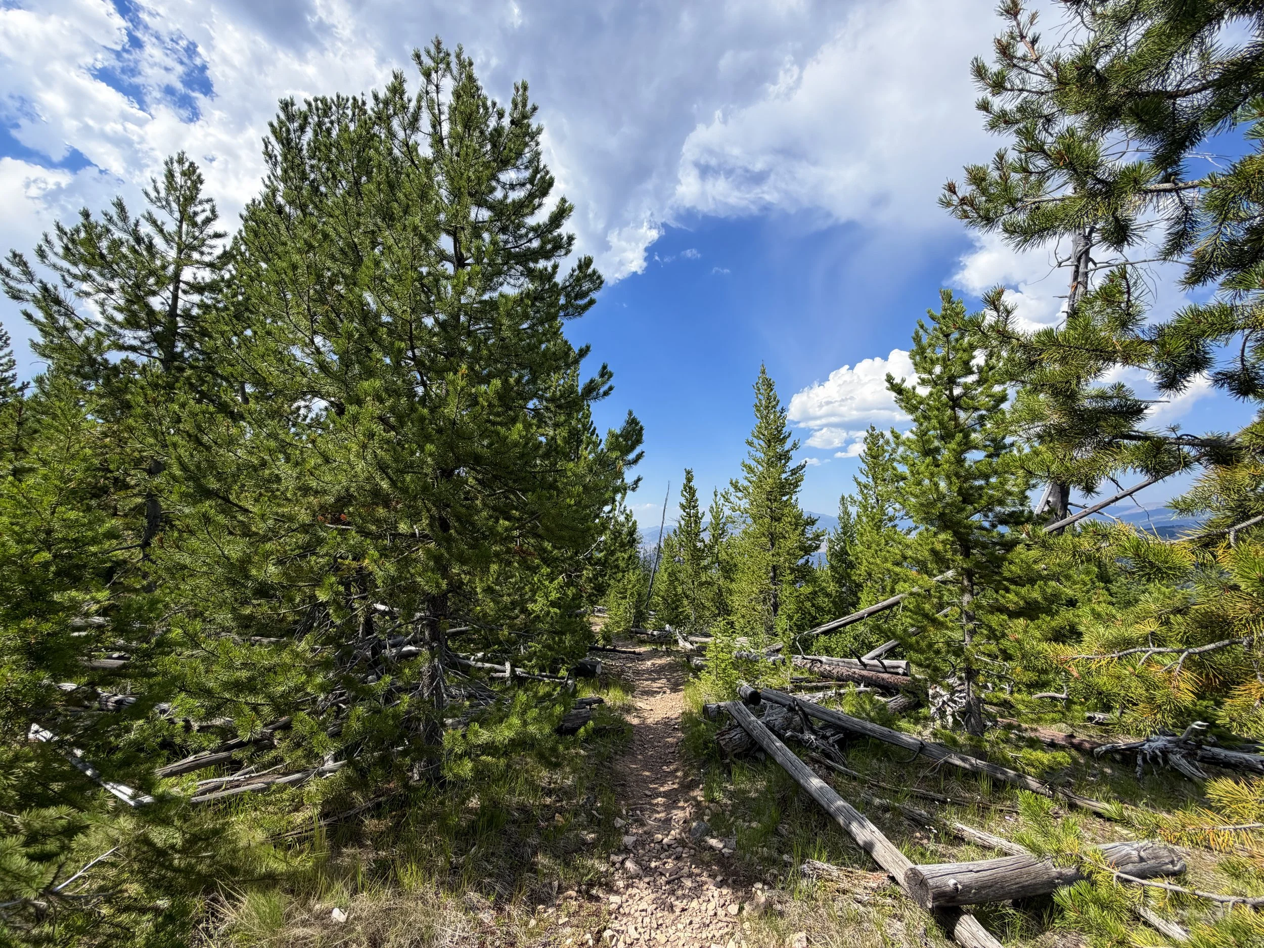 Bunsen Peak Trail Yellowstone National Park Wyoming
