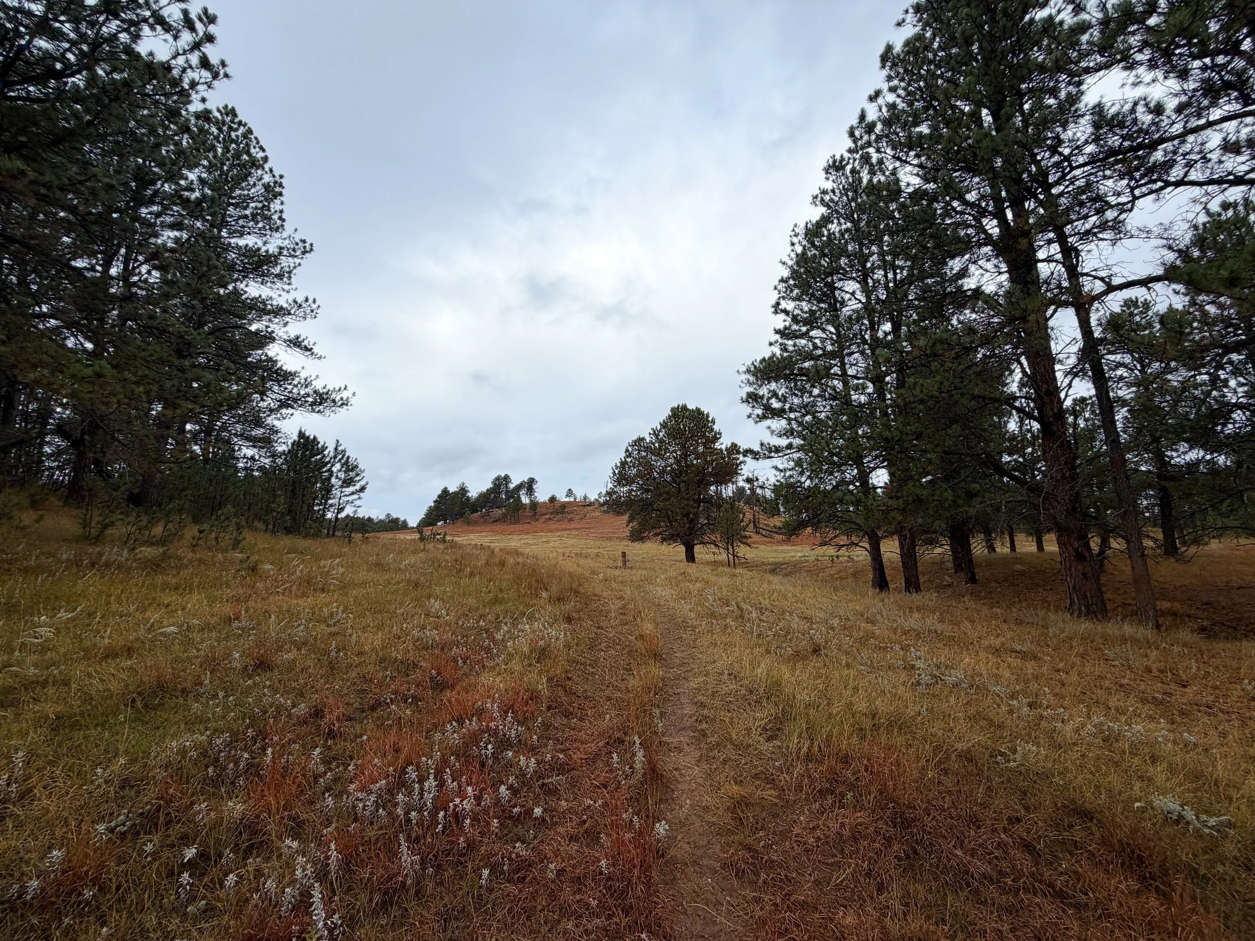 Highland Creek Trail to Wind Cave Canyon Wind Cave National Park South Dakota