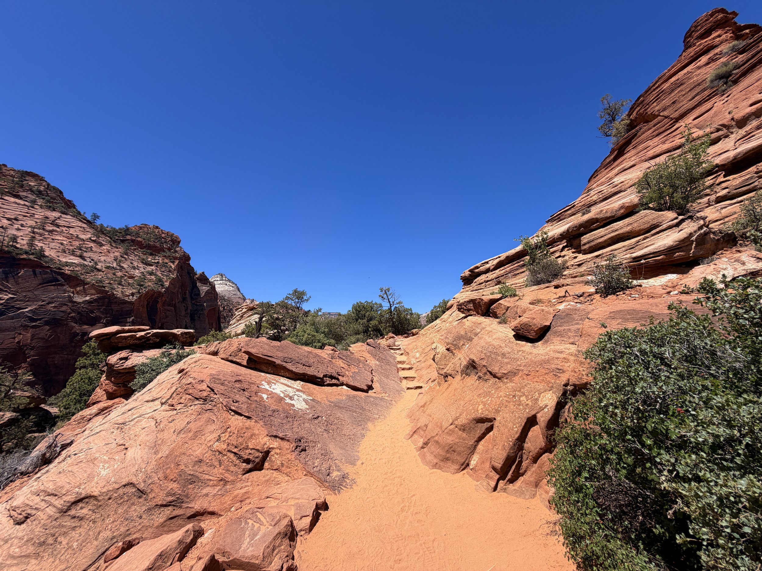 Canyon Overlook Trail Zion National Park Utah