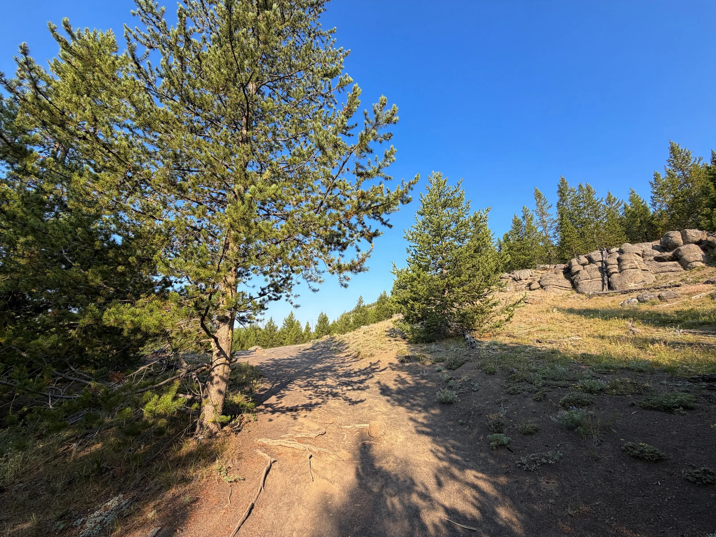 Mystic Falls Hike Yellowstone National Park Wyoming