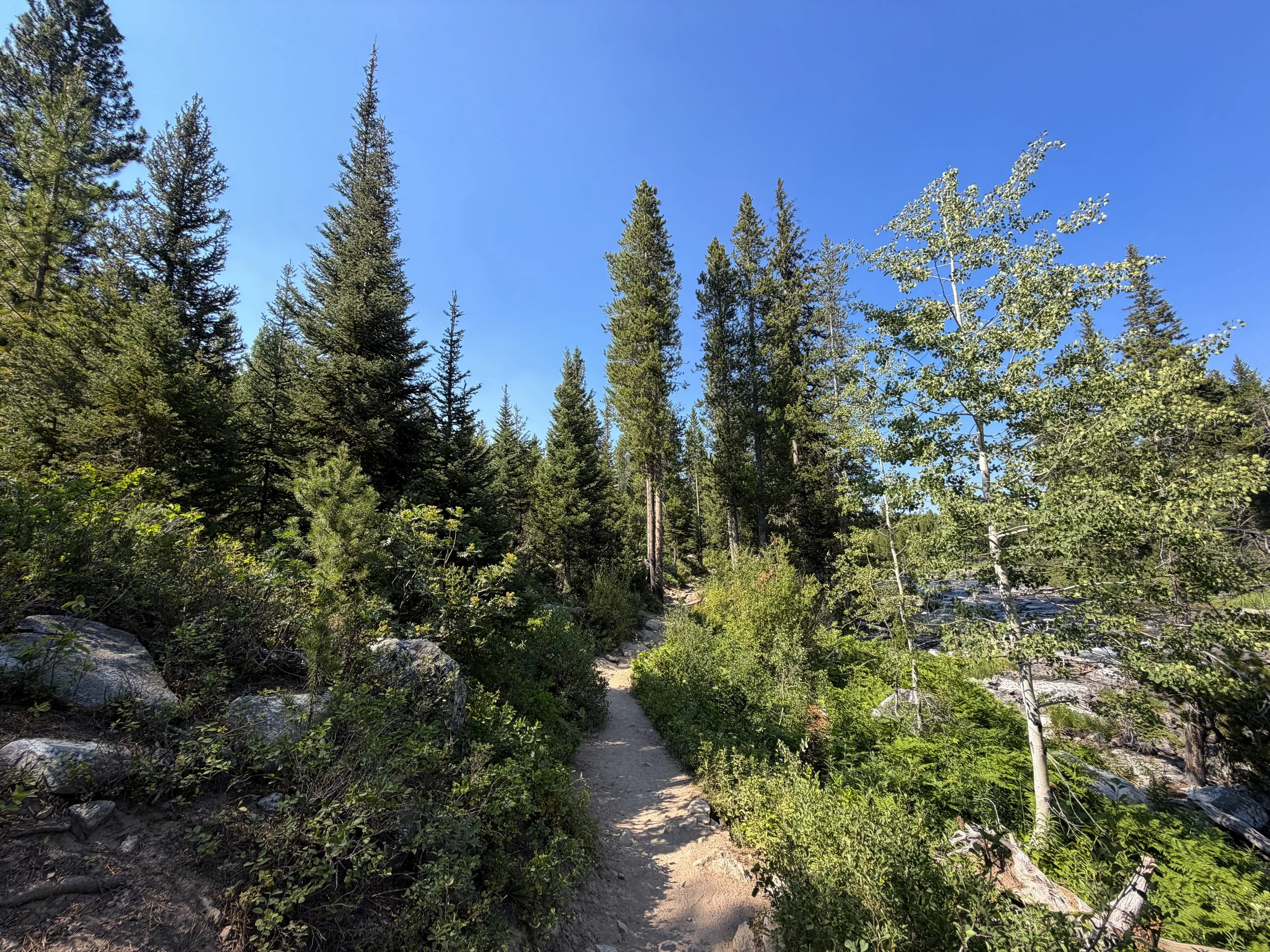 Jenny Lake Loop Trail Grand Teton National Park Wyoming
