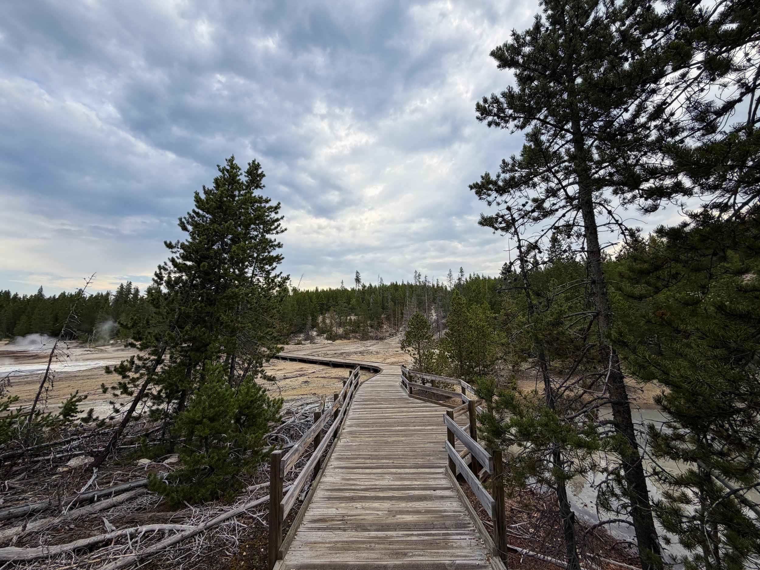Norris Geyser Basin Trail Yellowstone National Park Wyoming