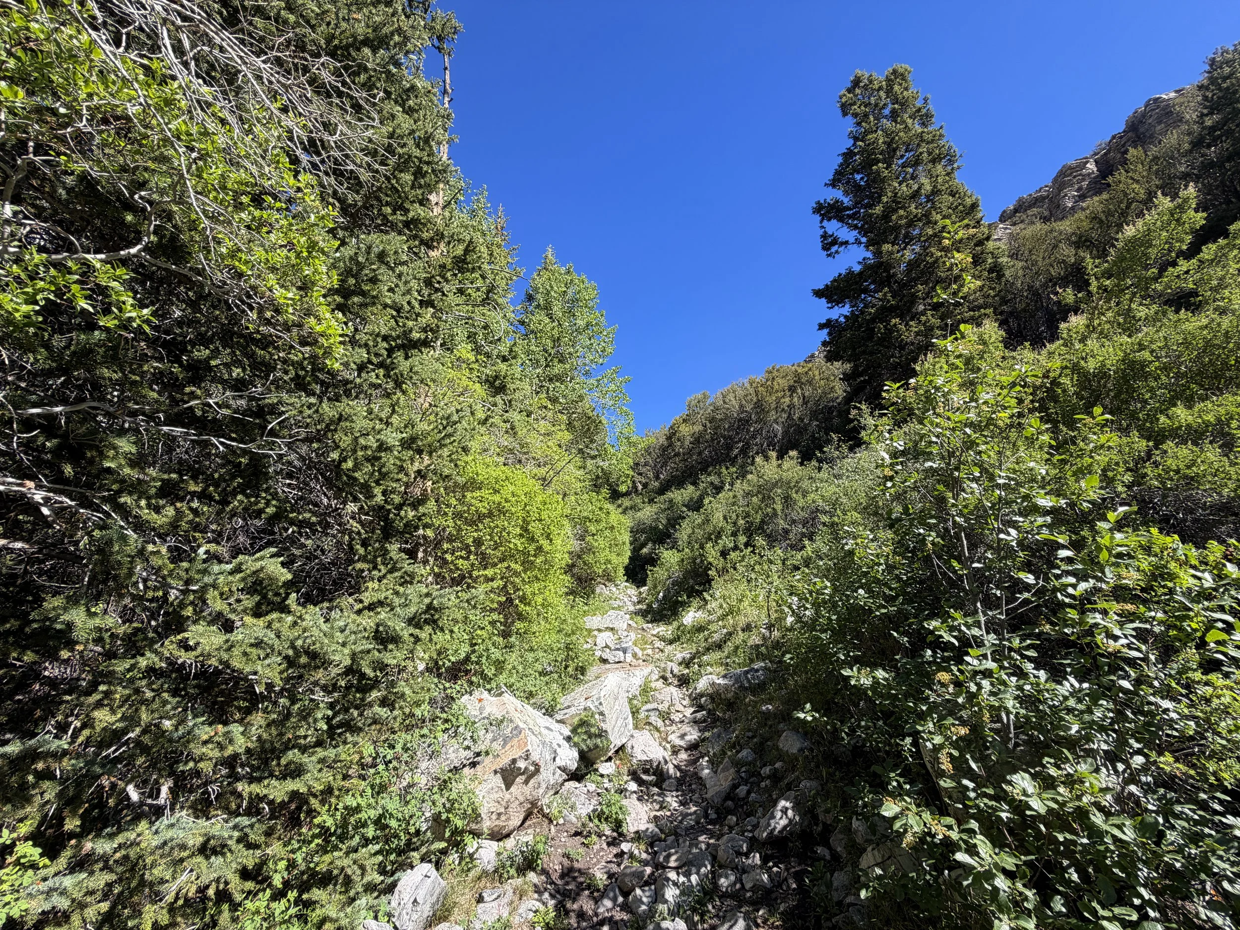 Lehman Creek Hike Great Basin National Park Nevada