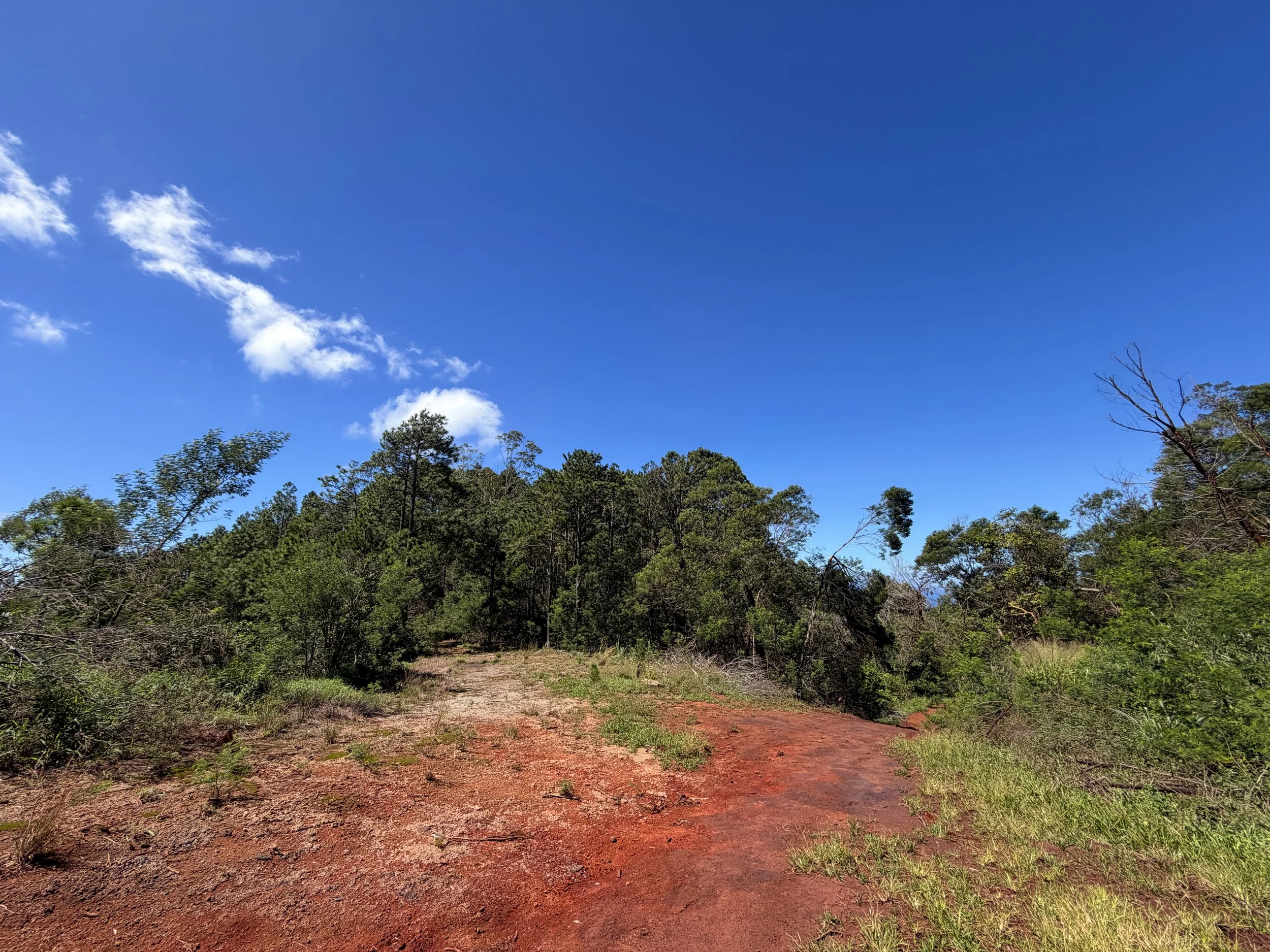 Kuaokala Trail Oahu Hawaii