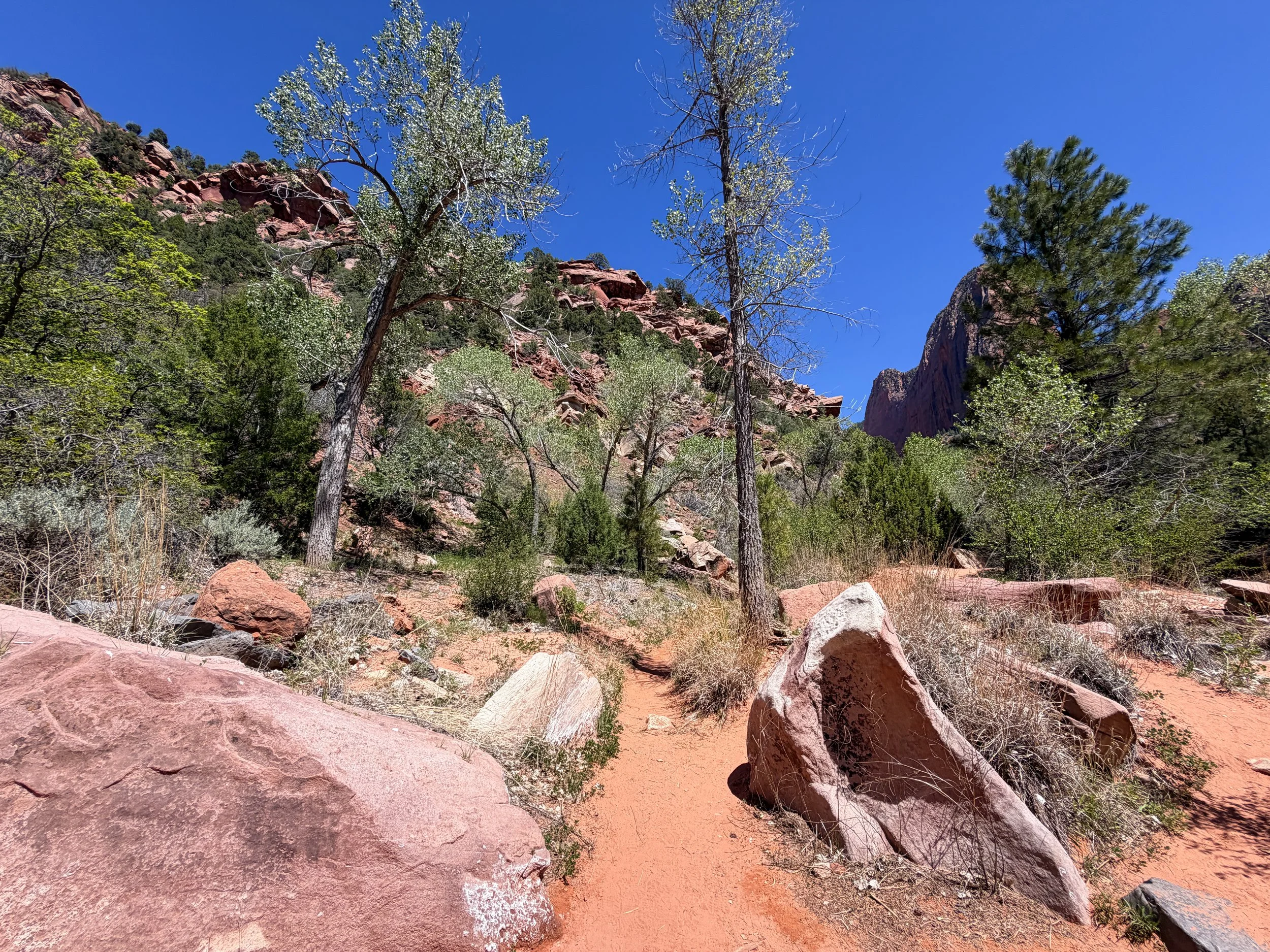 Middle Taylor Creek Hike Zion National Park Utah