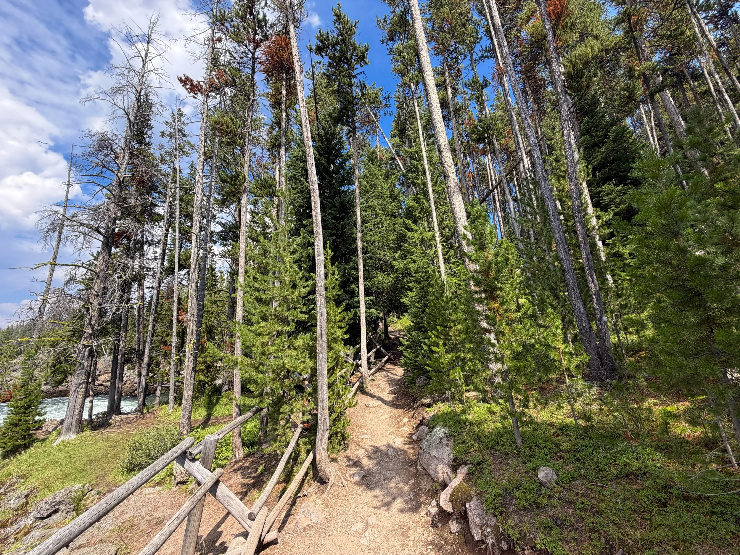 South Rim Trail Yellowstone National Park Wyoming
