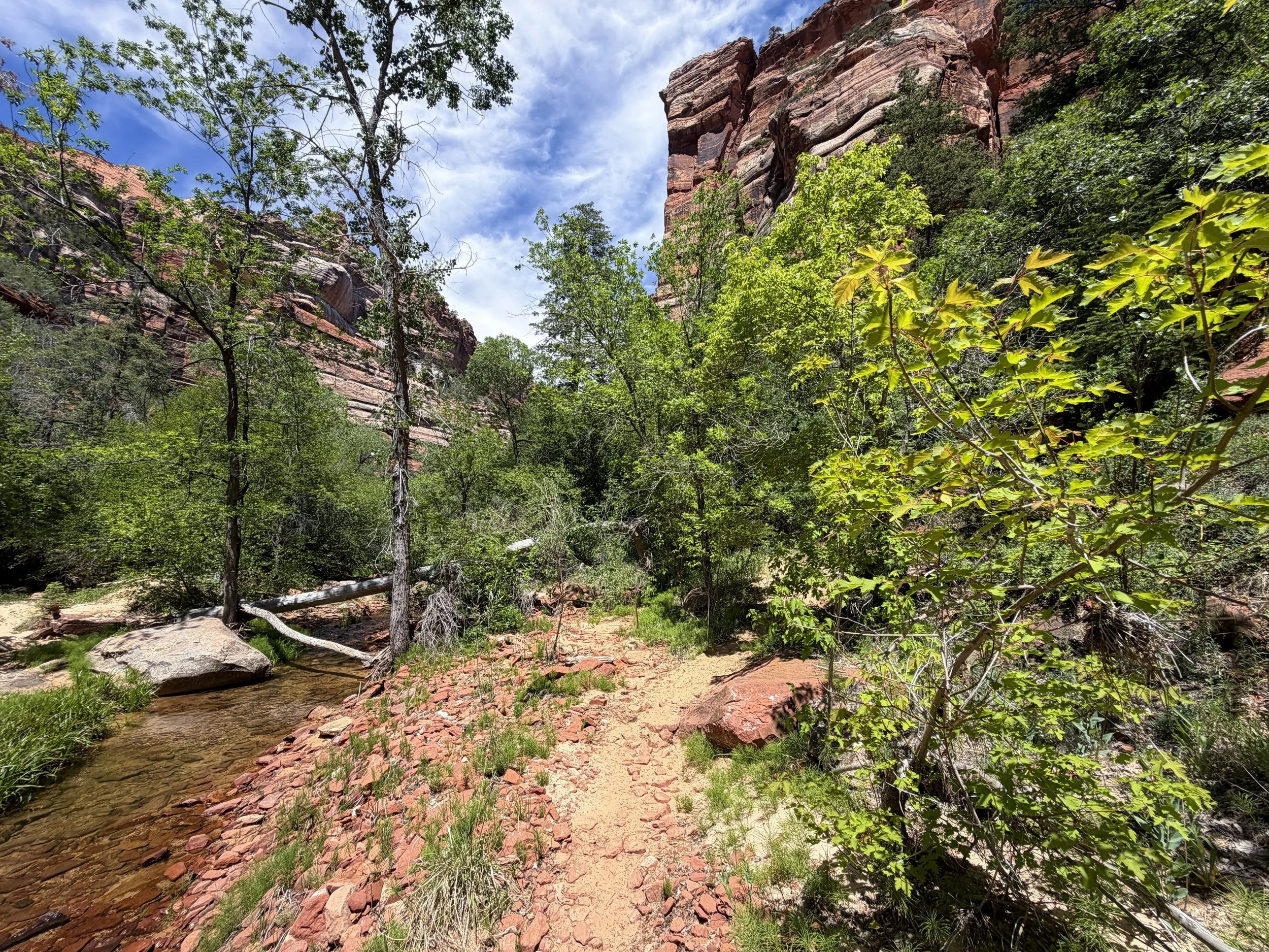 Left Fork Trail to the Subway Zion National Park Utah