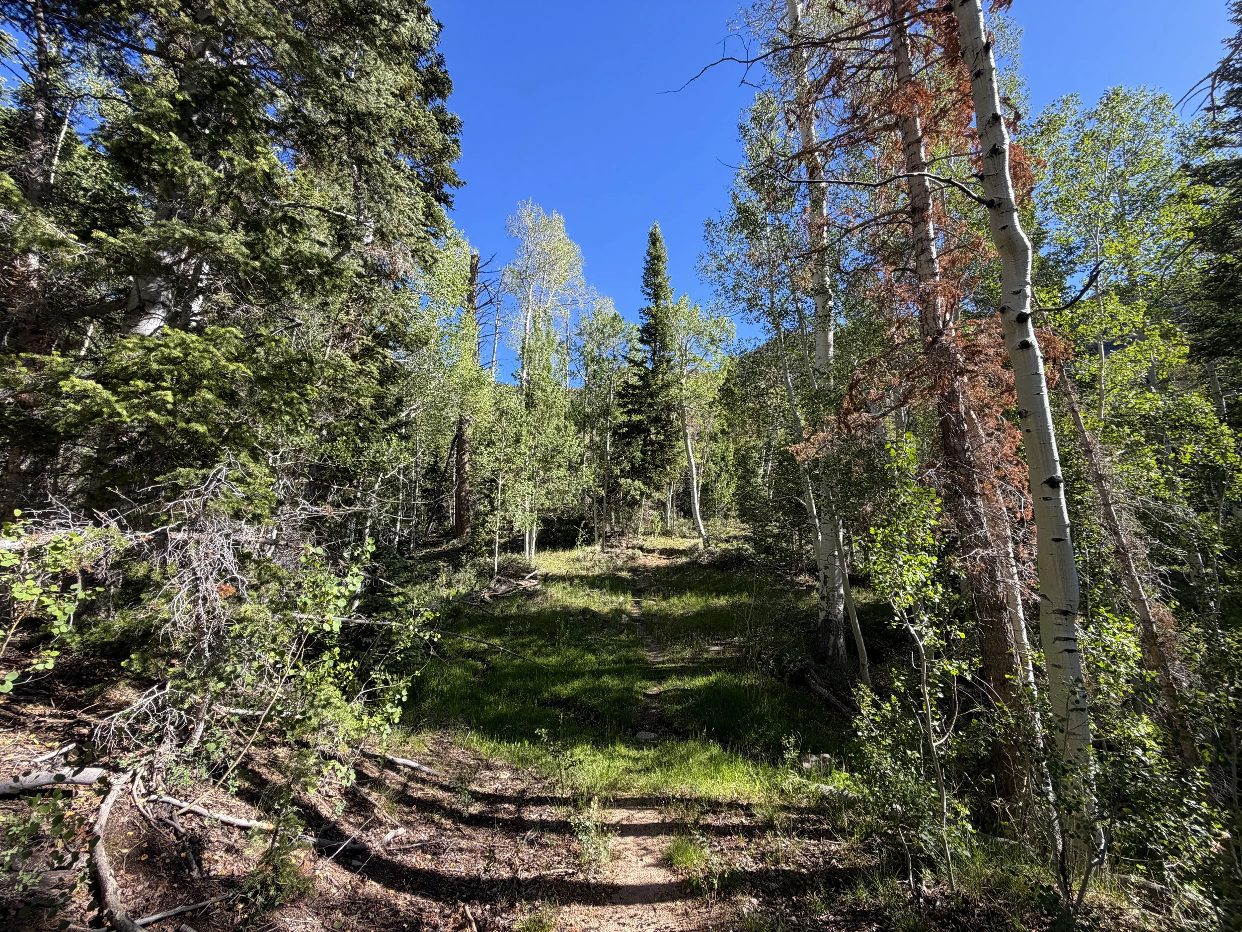 Johnson Lake Hike Great Basin National Park Nevada