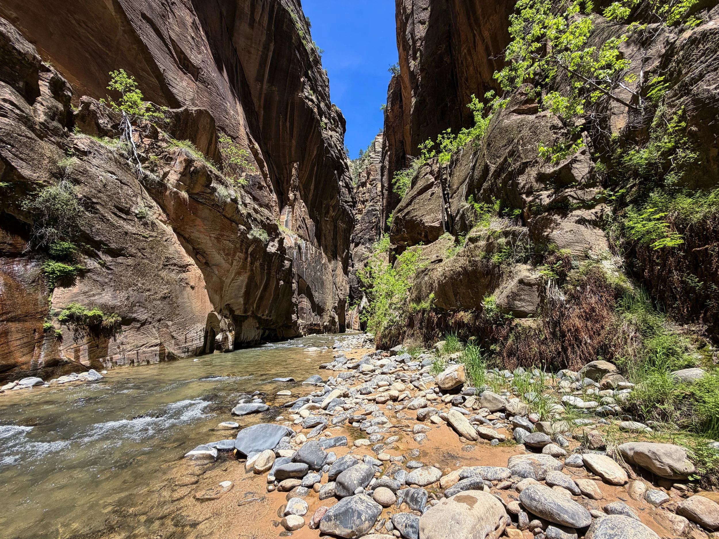 The Narrows Zion National Park Utah