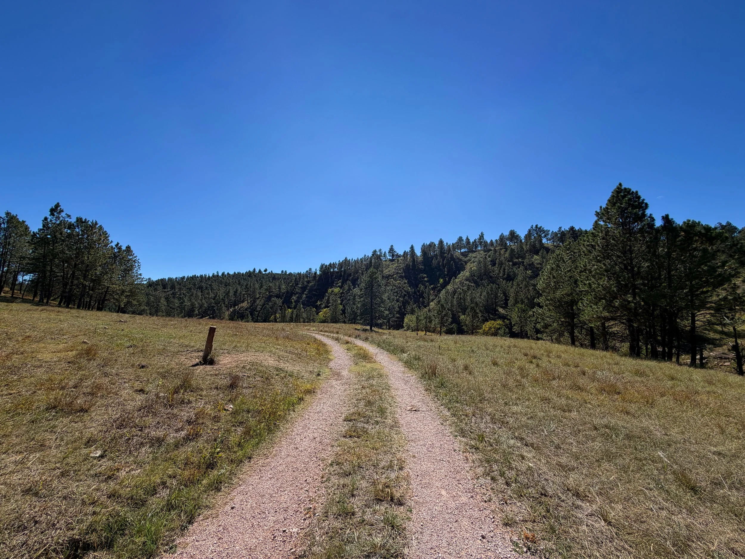 Wind Cave Canyon Trail Wind Cave National Park South Dakota