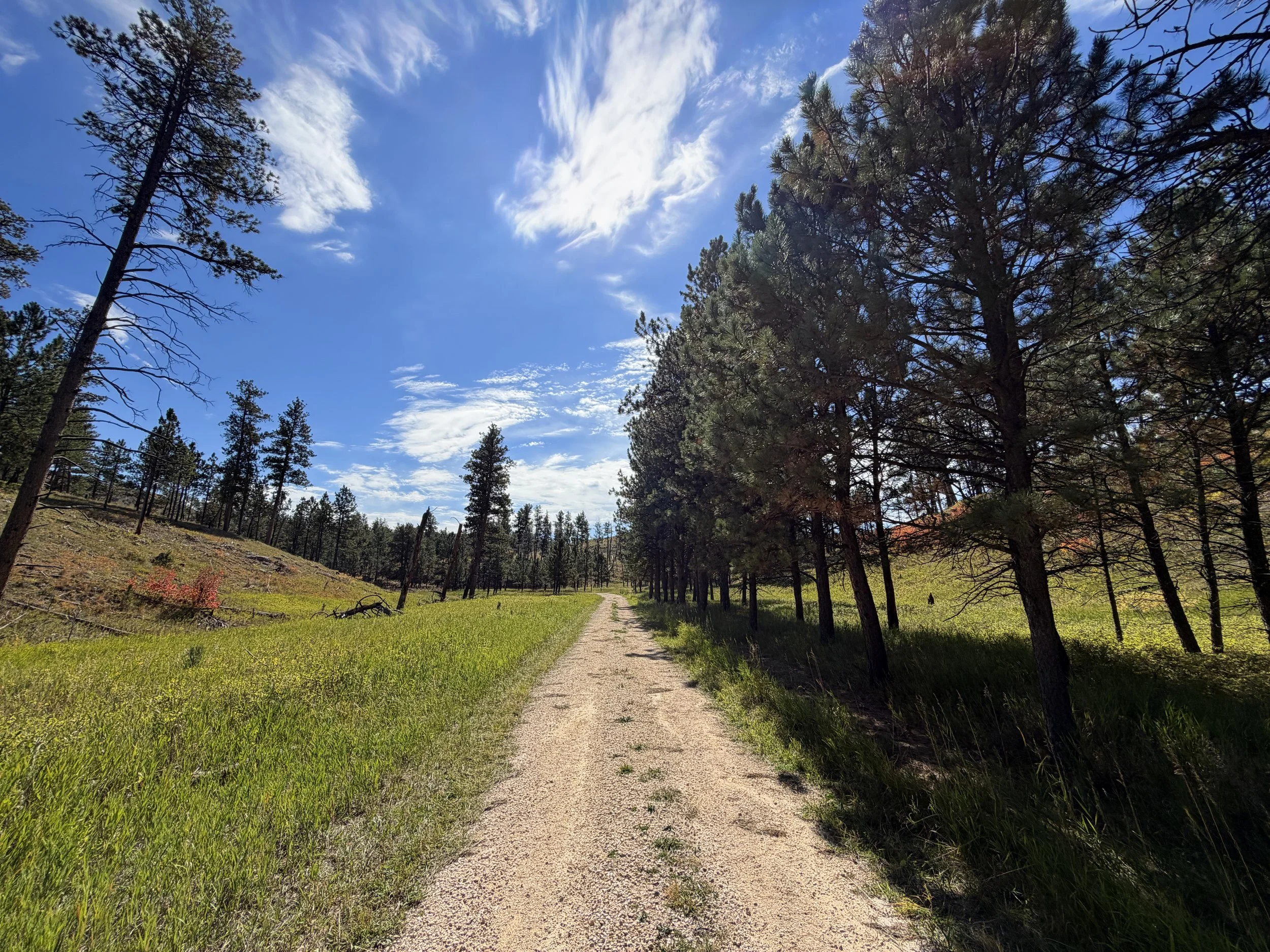 Canyons Trail Jewel Cave National Monument Black Hills South Dakota