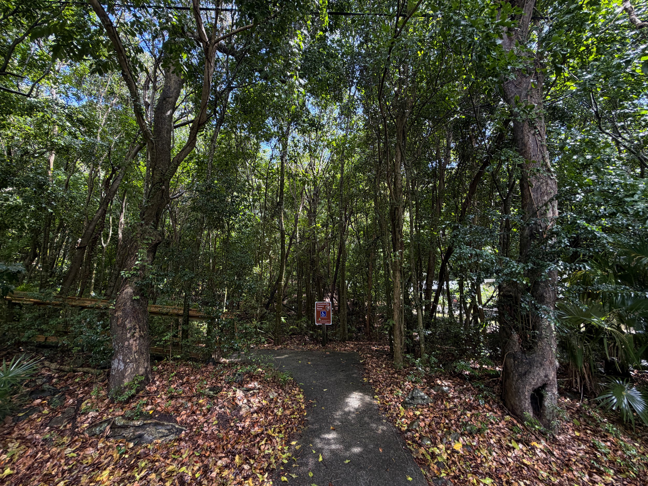 Cinnamon Bay Loop Trailhead Virgin Islands National Park