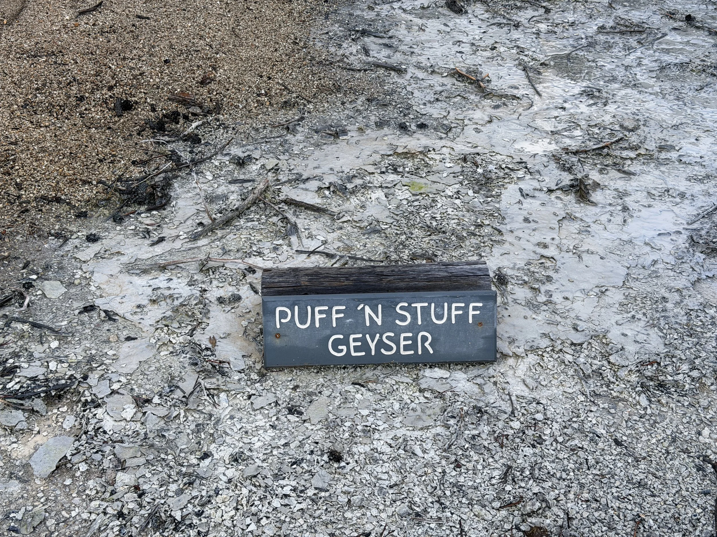 Puff 'n Stuff Geyser Norris Geyser Basin Trail Yellowstone National Park Wyoming