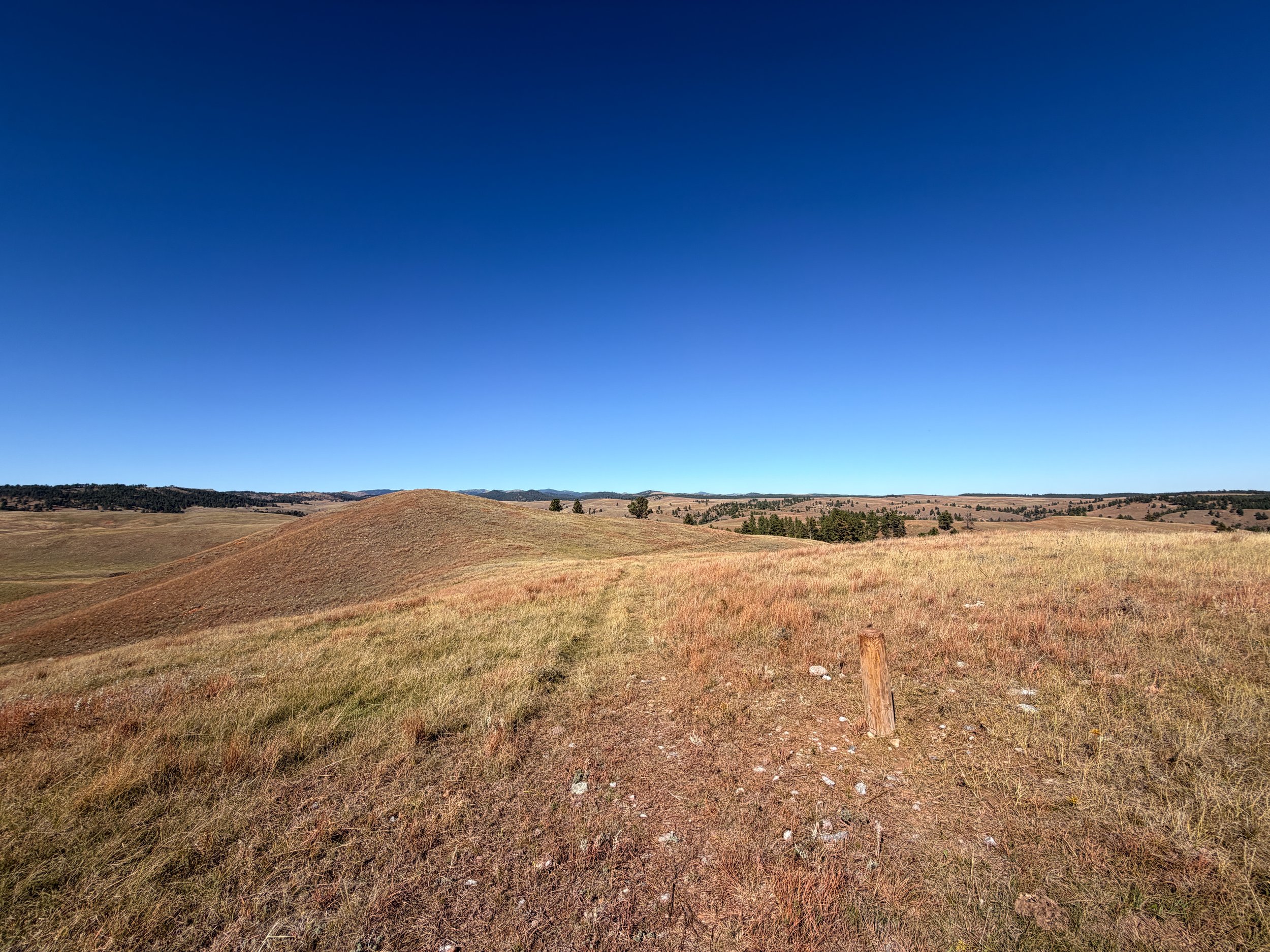 East Bison Flats Trail Wind Cave National Park South Dakota
