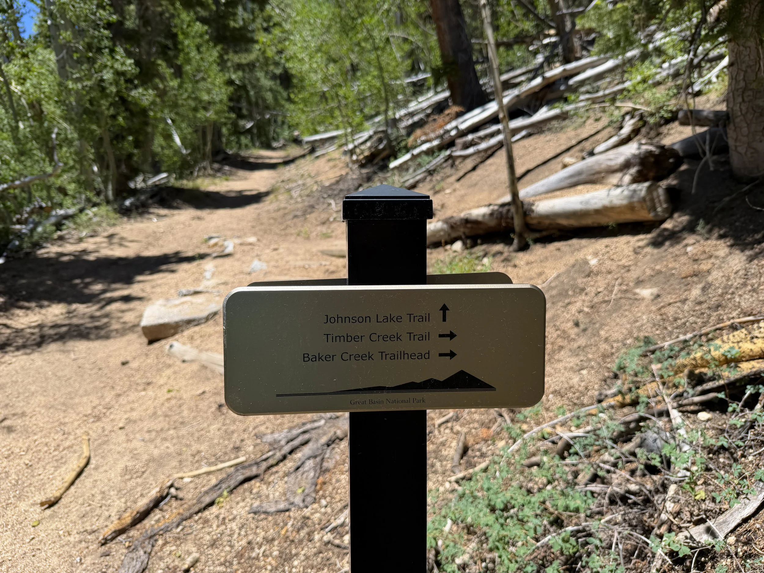 Timber Creek Loop Trail to Johnson Lake Great Basin National Park Nevada