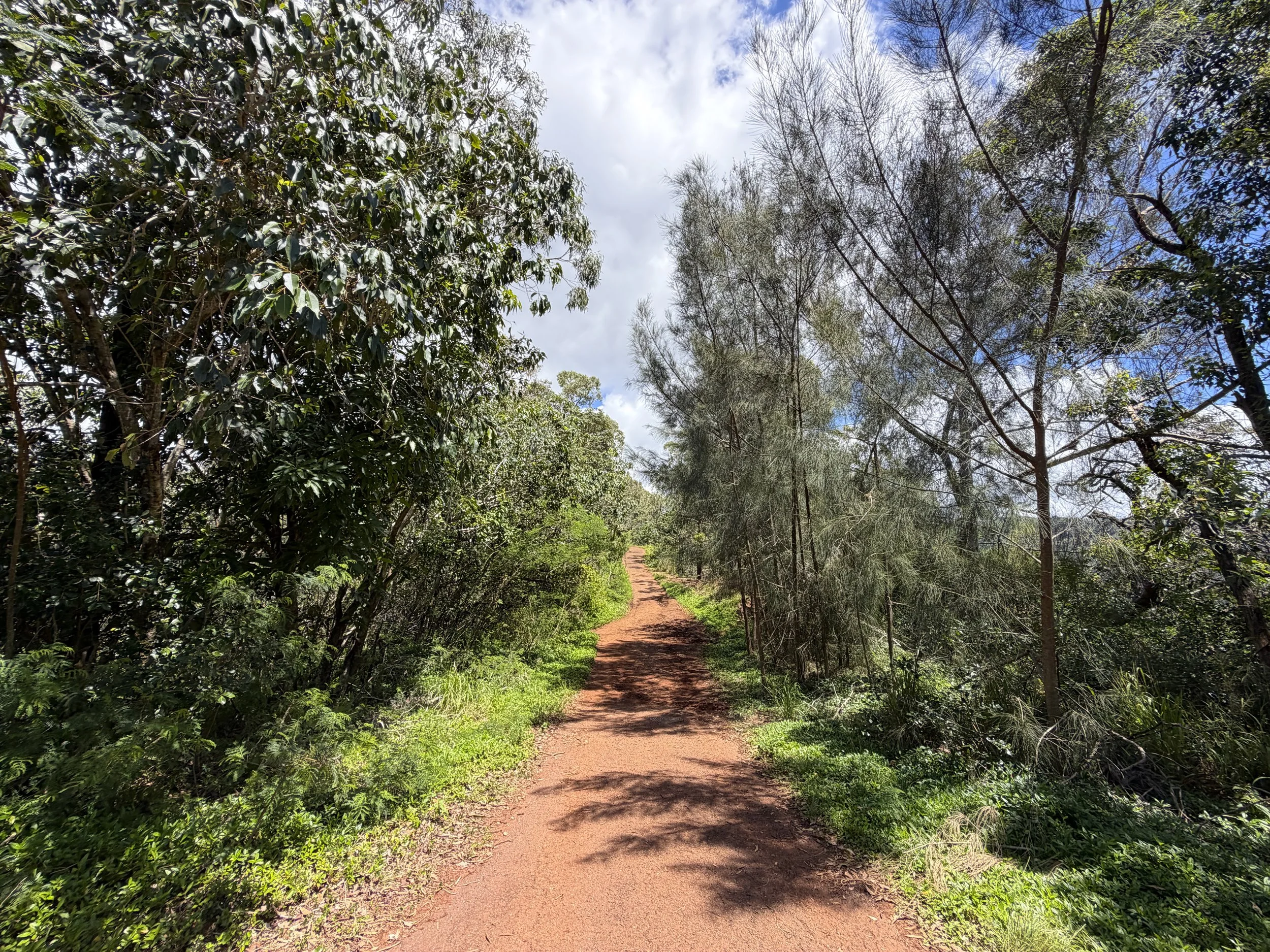 Waimano Pools Trail Oahu Hawaii