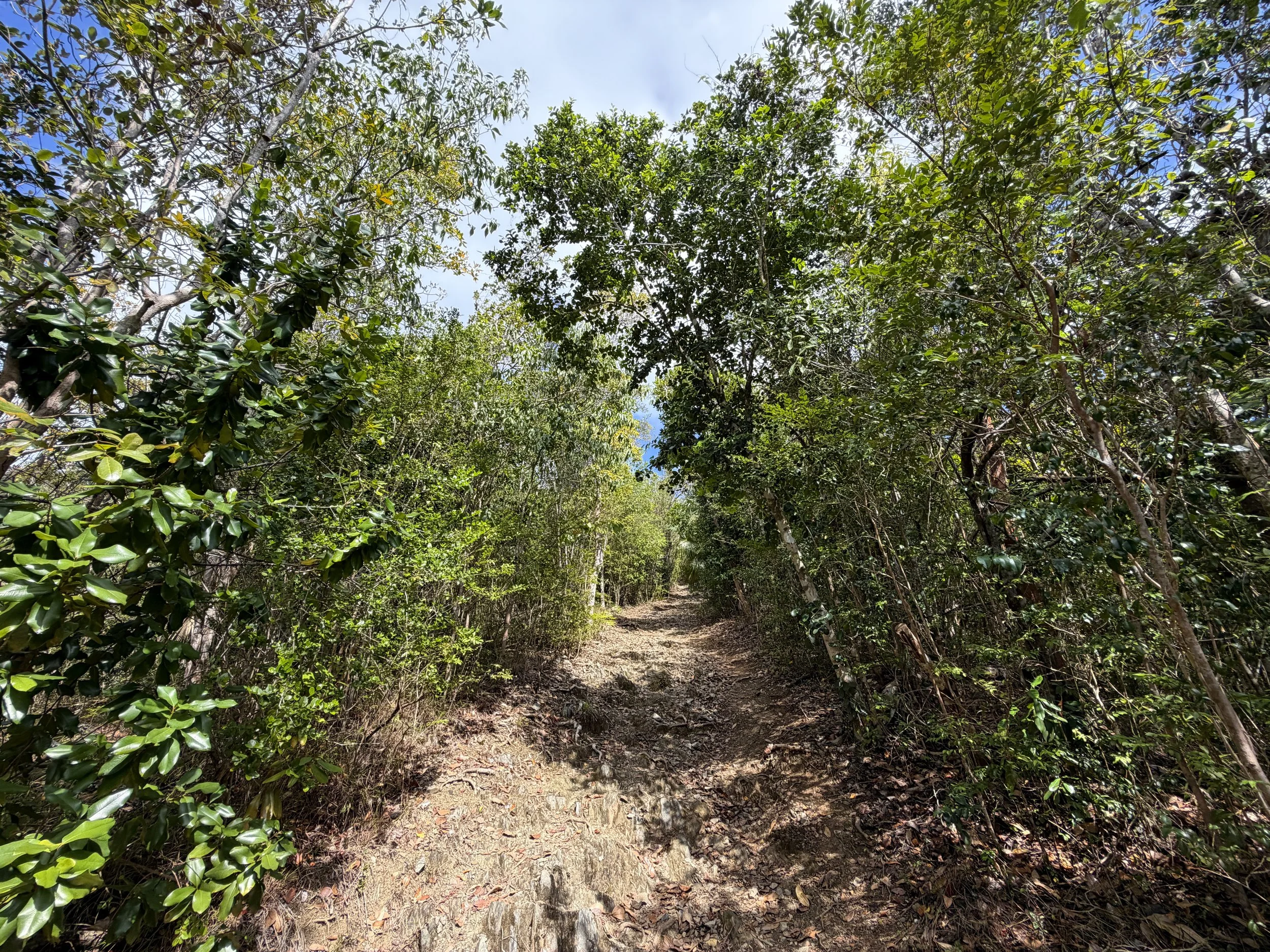 America Hill Trail Virgin Islands National Park