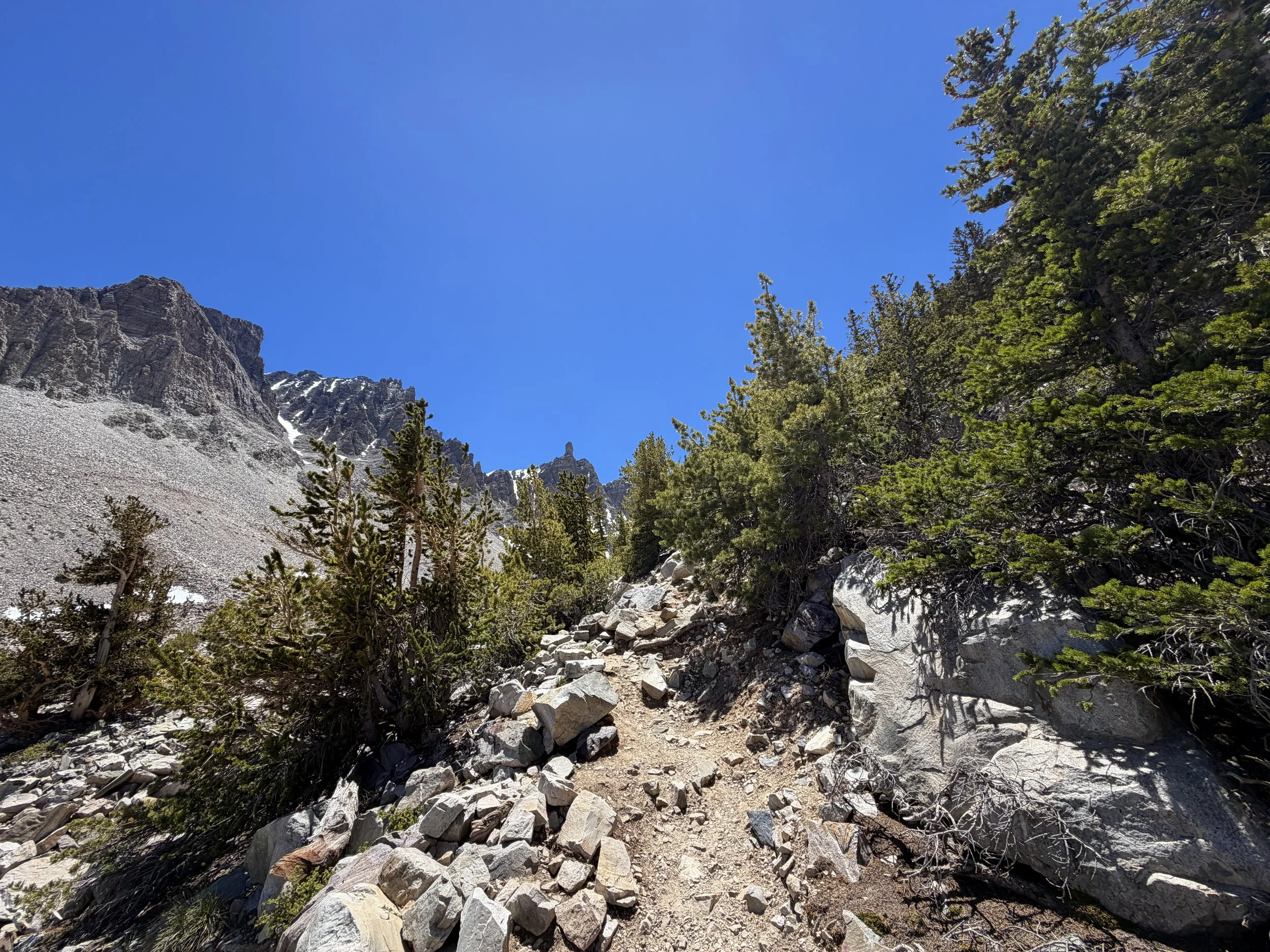 Glacier Trail Great Basin National Park Nevada