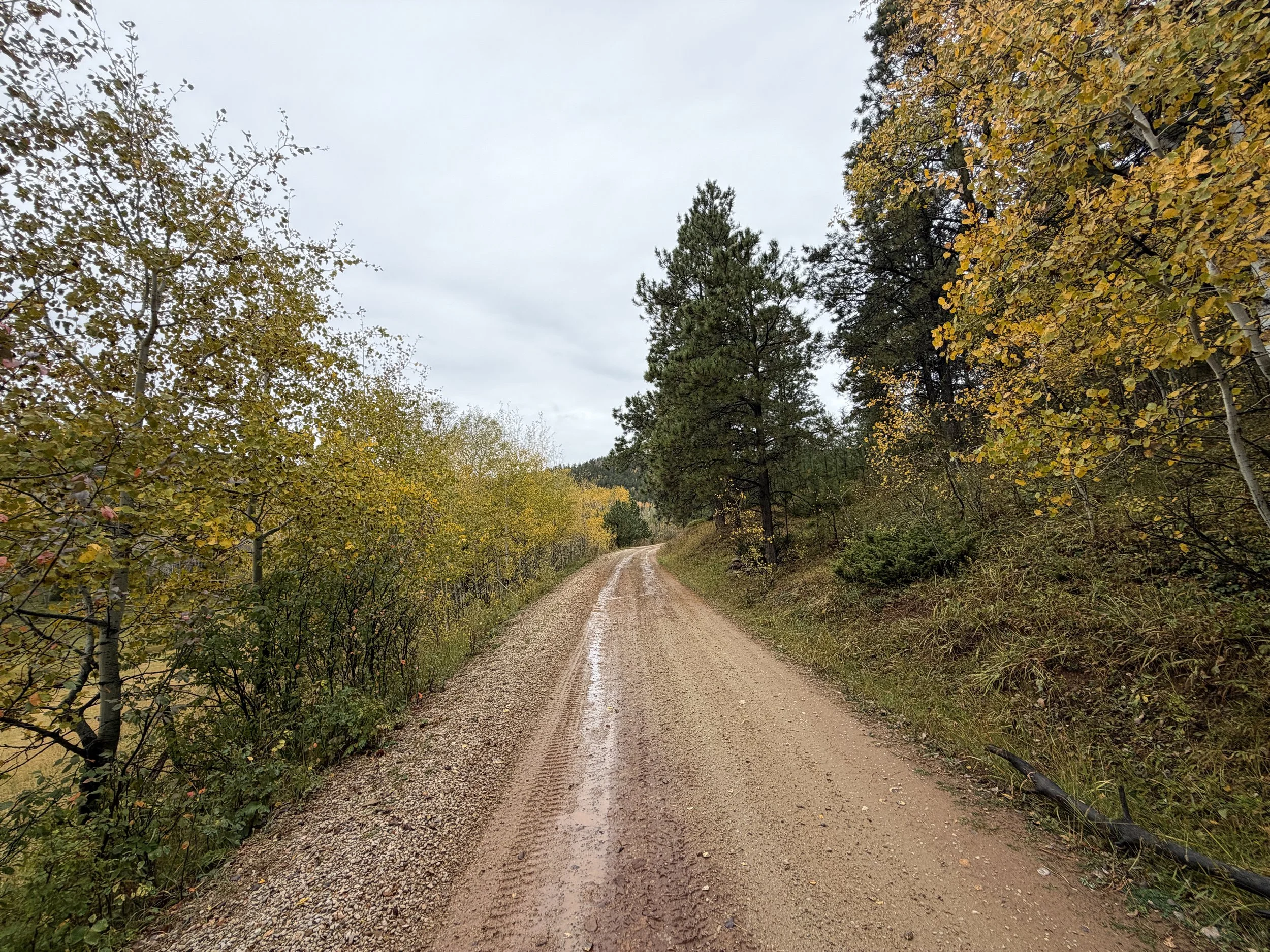 Custer Peak Trail Black Hills South Dakota