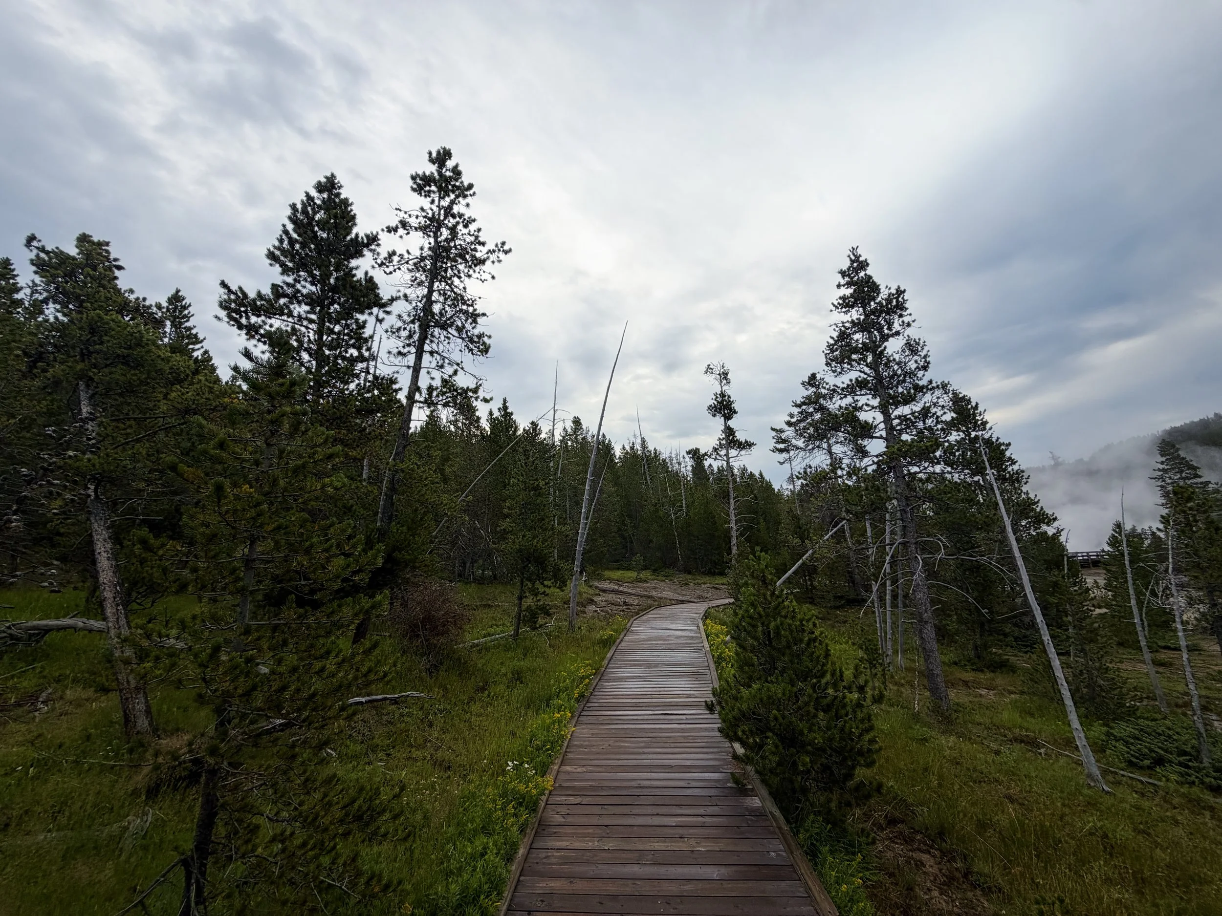 Back Basin Loop Trail Norris Geyser Basin Yellowstone National Park Wyoming