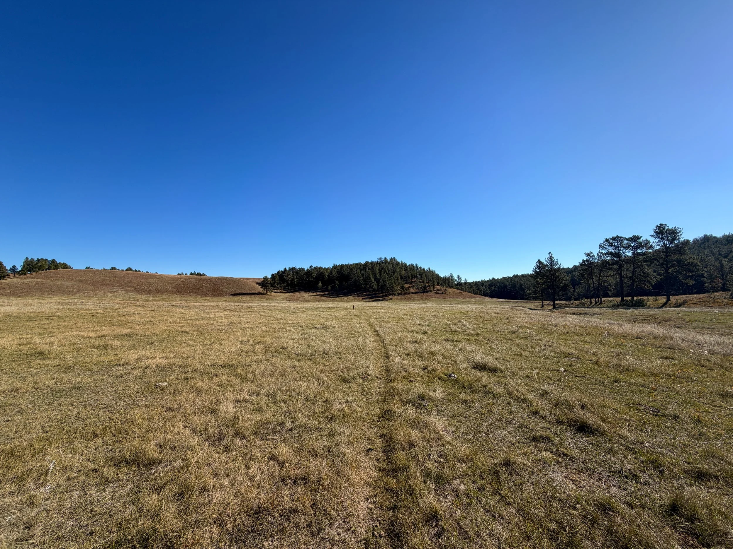 Sanctuary Trail Wind Cave National Park South Dakota
