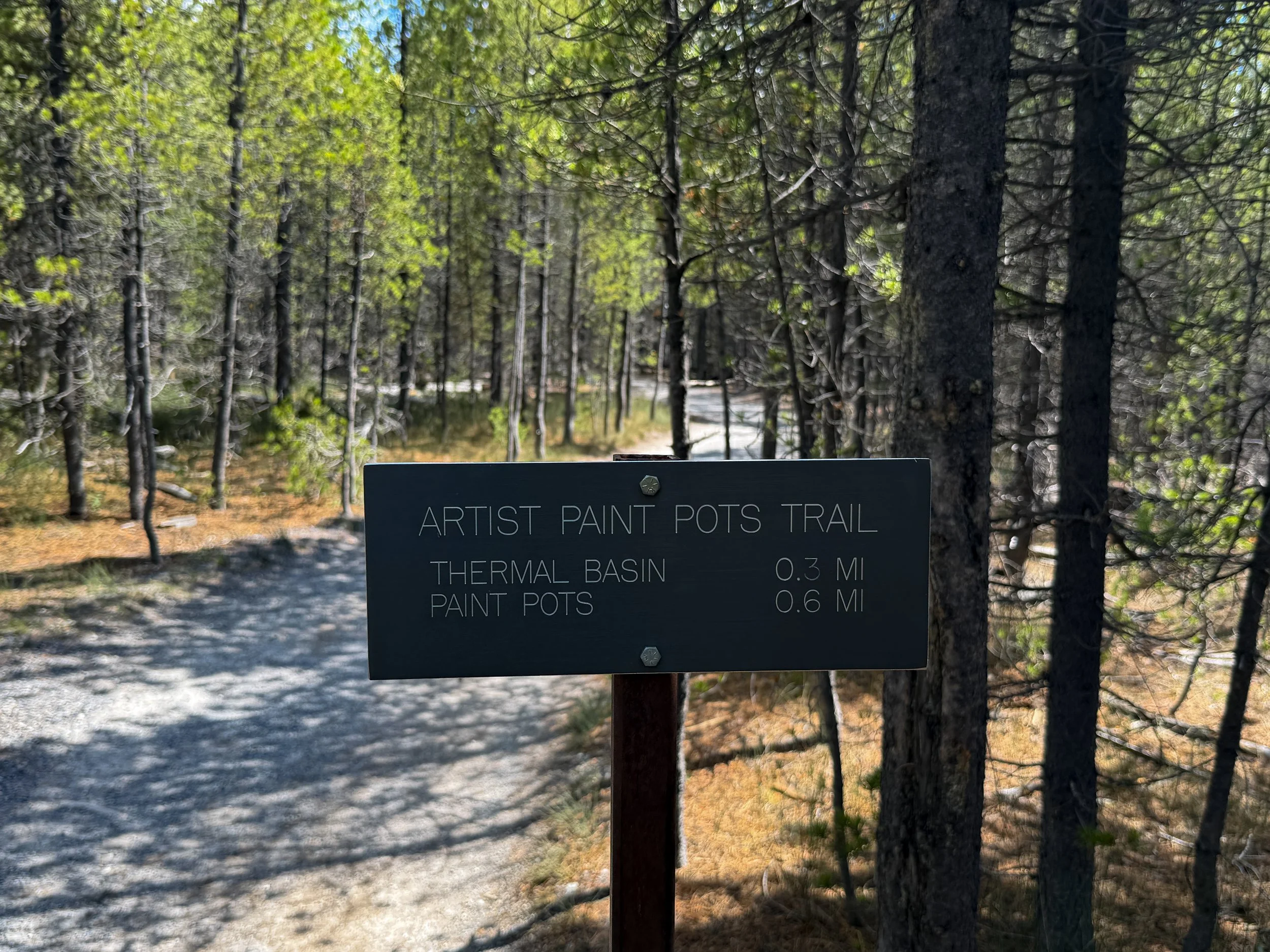 Artists Paintpots Trail Yellowstone National Park Wyoming
