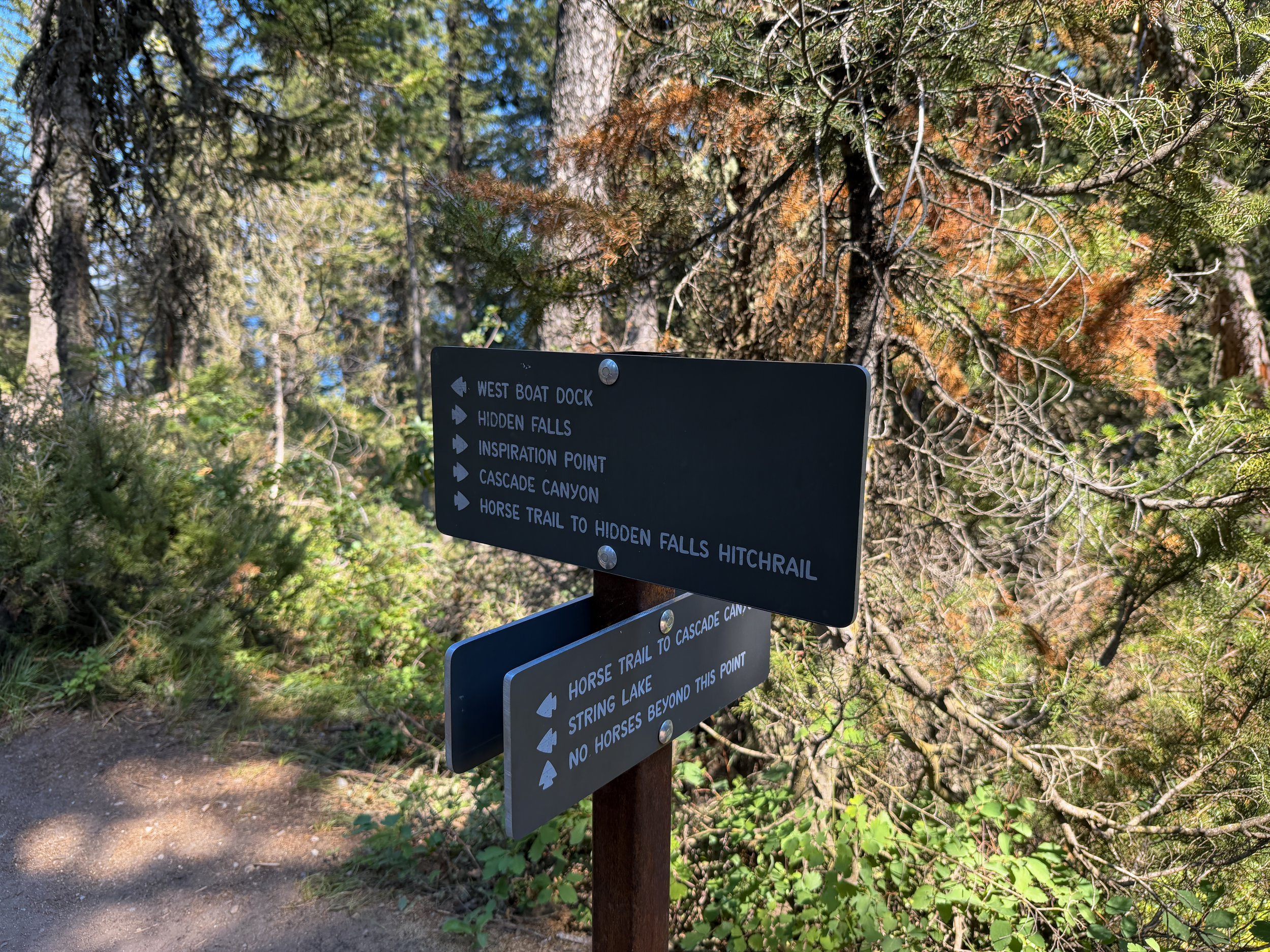 Jenny Lake Loop Trail Grand Teton National Park Wyoming