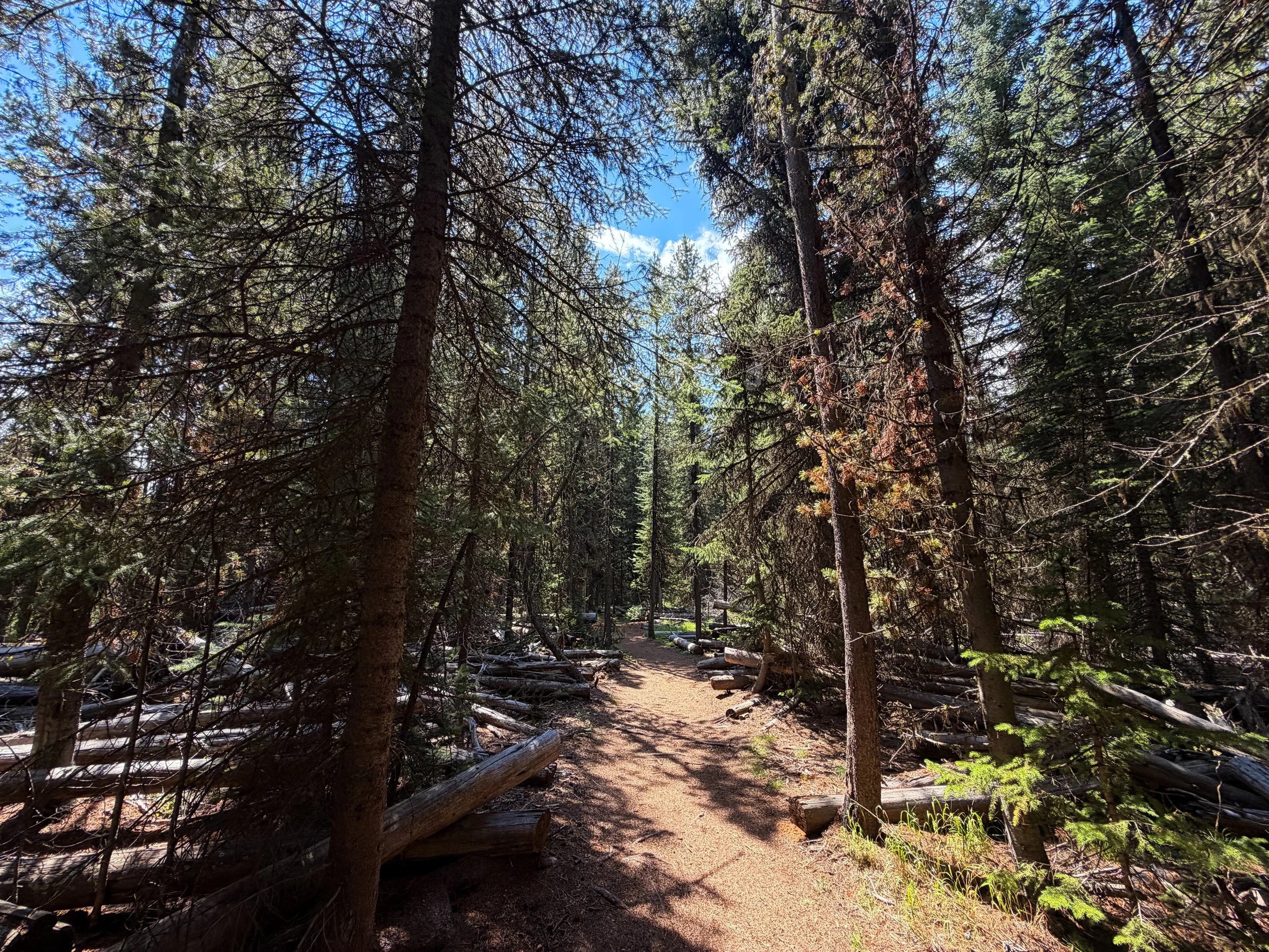 Storm Point Loop Trail Yellowstone National Park Wyoming