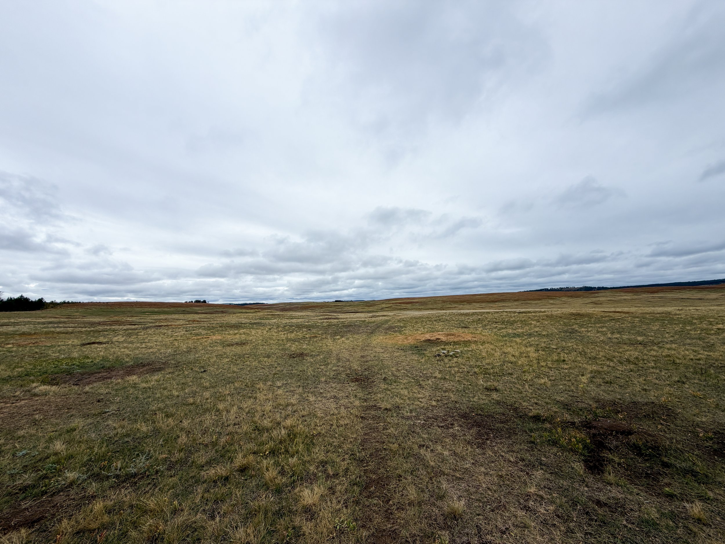 Highland Creek Trail Wind Cave National Park South Dakota