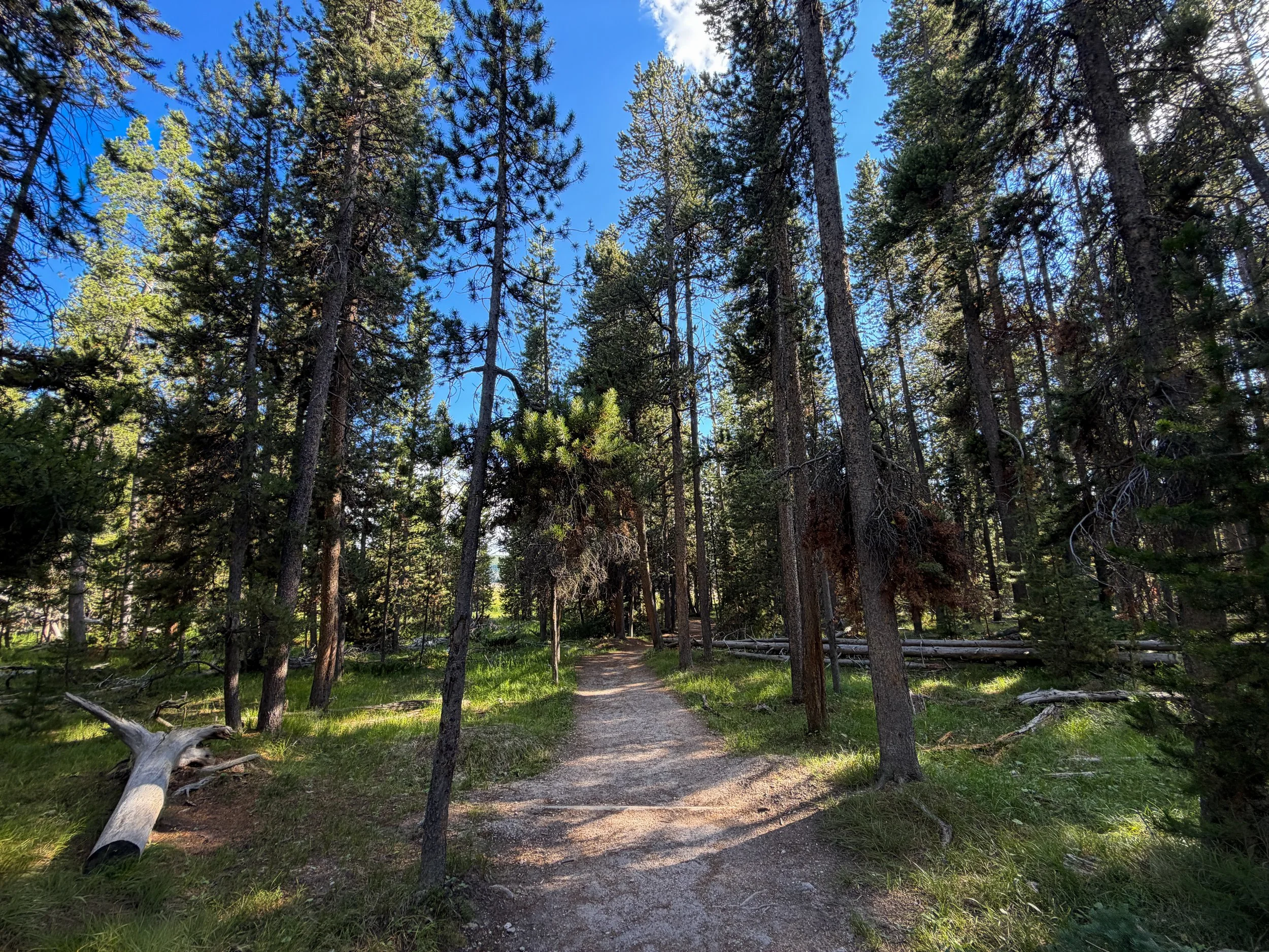 Observation Point Loop Trail Yellowstone National Park Wyoming