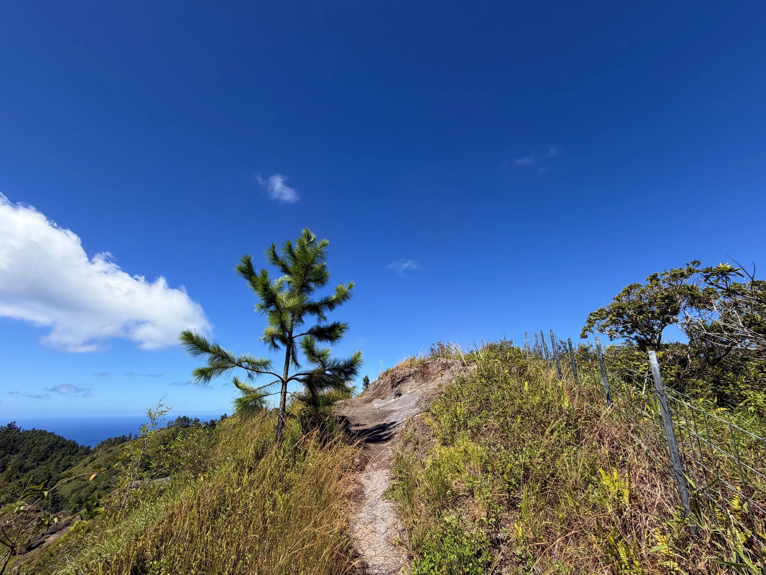 Kuaokala Hike Oahu Hawaii