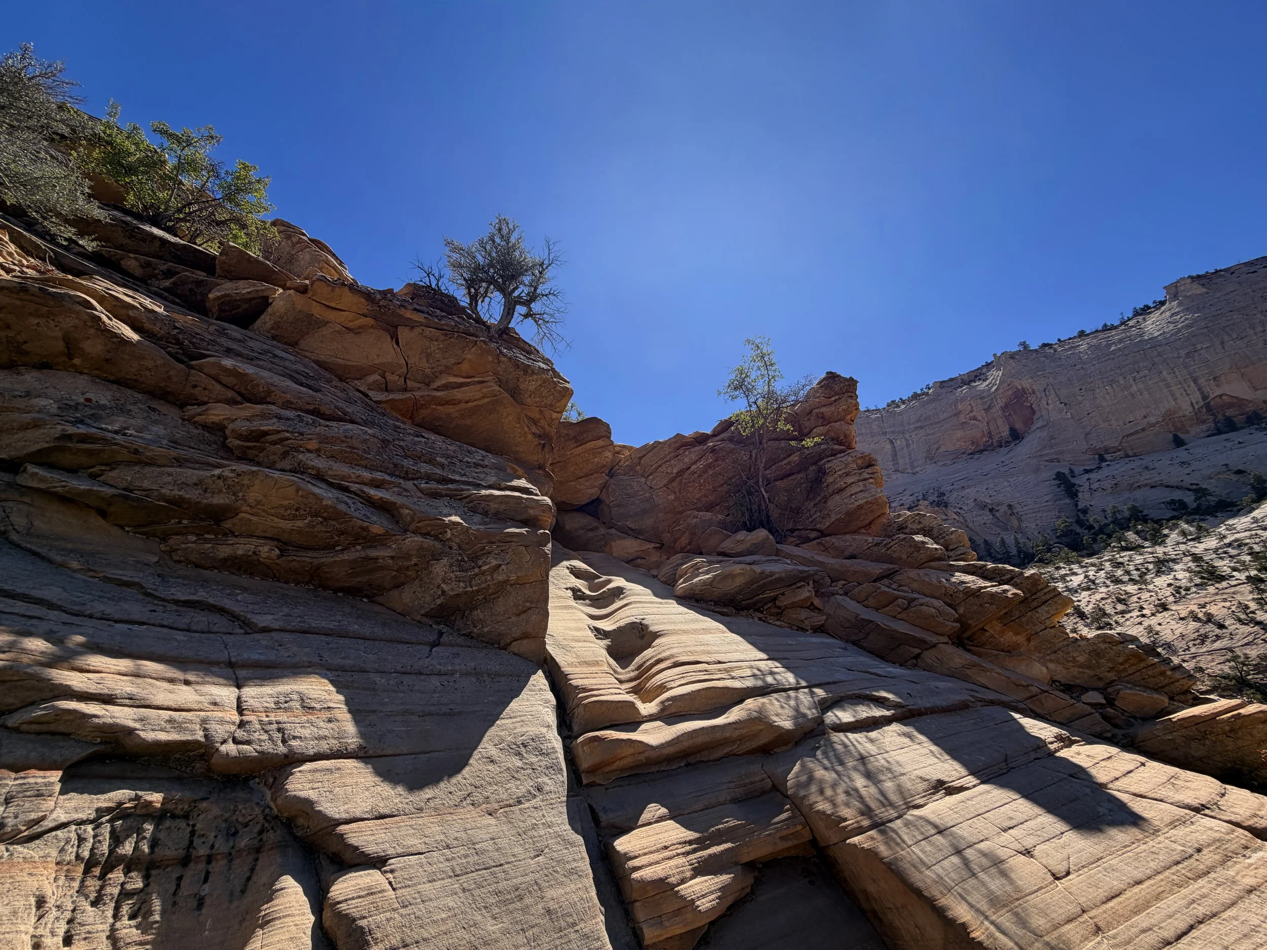 Angels Landing Trail Chains Zion National Park Utah
