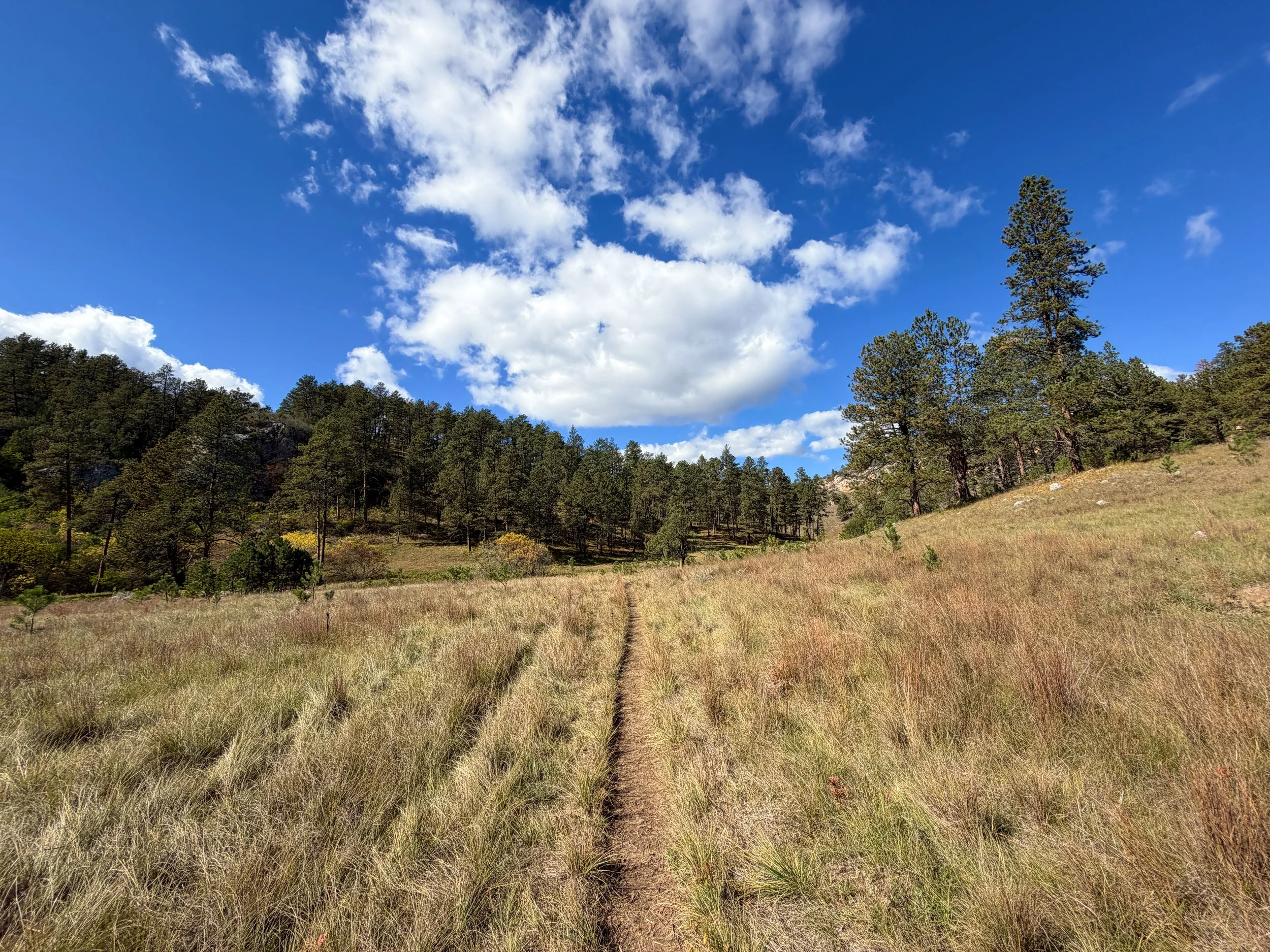 Lookout Point Loop Trail Wind Cave National Park South Dakota