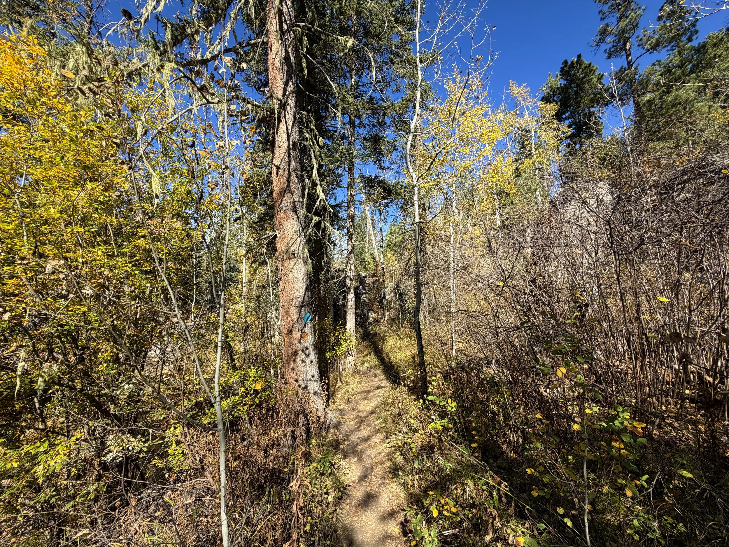 Sunday Gulch Loop Hike Custer State Park Black Hills South Dakota