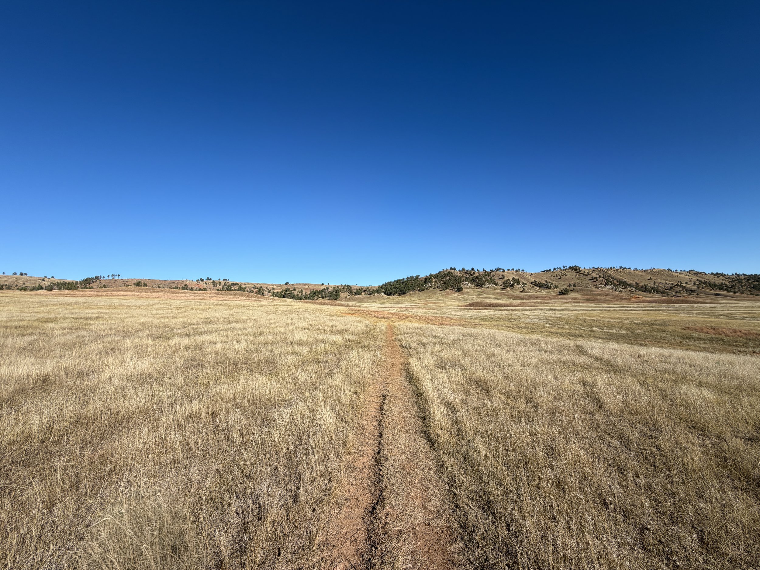 Boland Ridge Trail Wind Cave National Park South Dakota