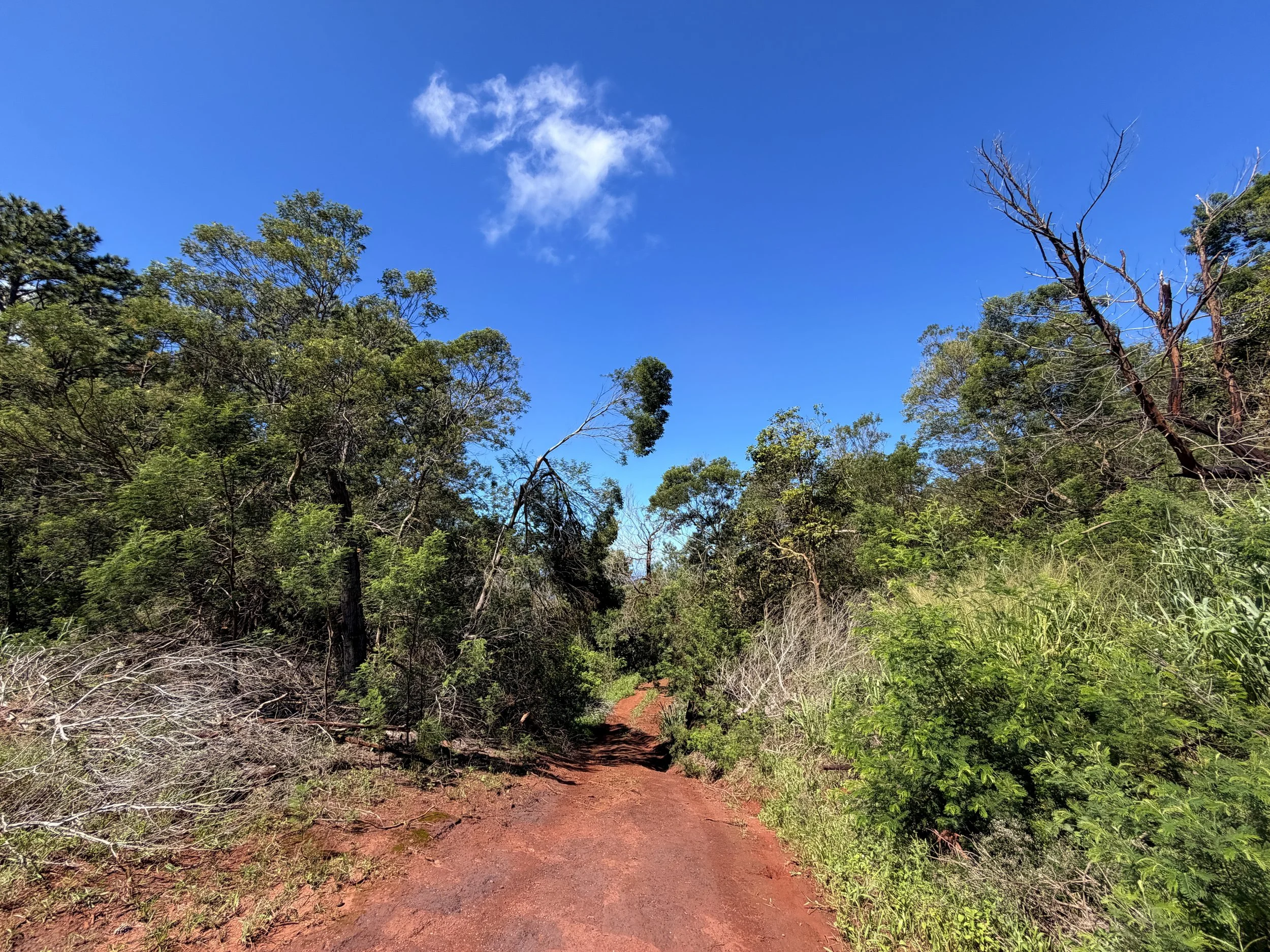 Kuaokala Trail Oahu Hawaii