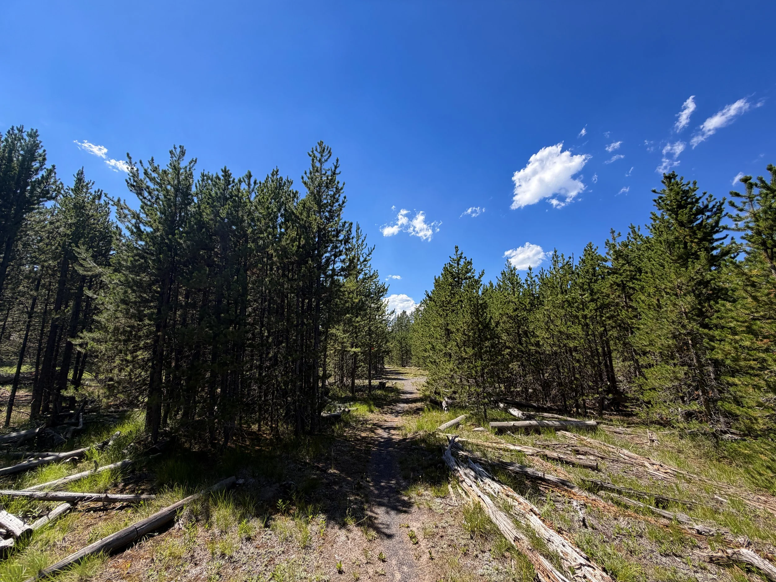 Fern Cascade Loop Trail Yellowstone National Park Wyoming