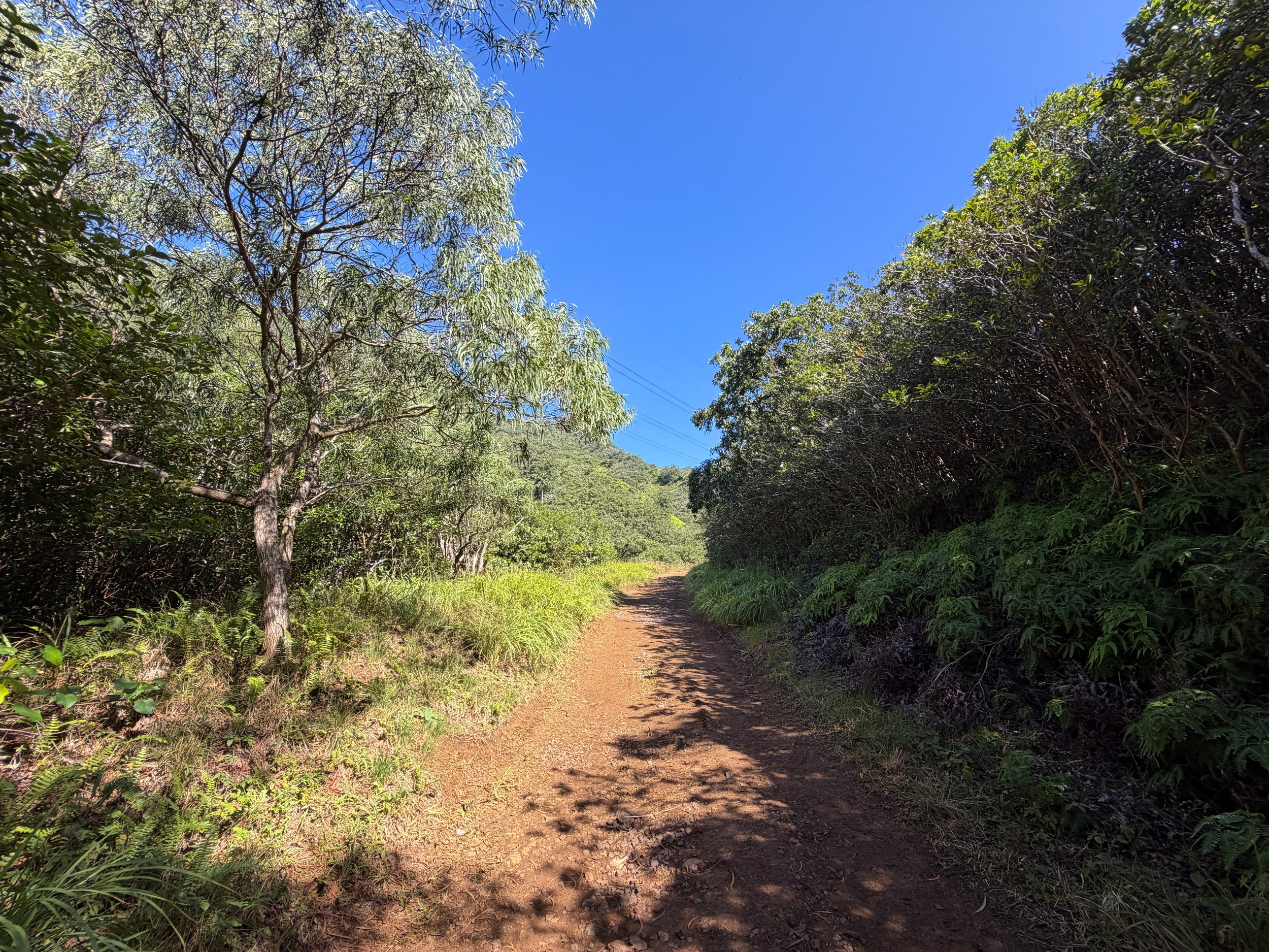 Kulanaahane Trail Oahu Hawaii