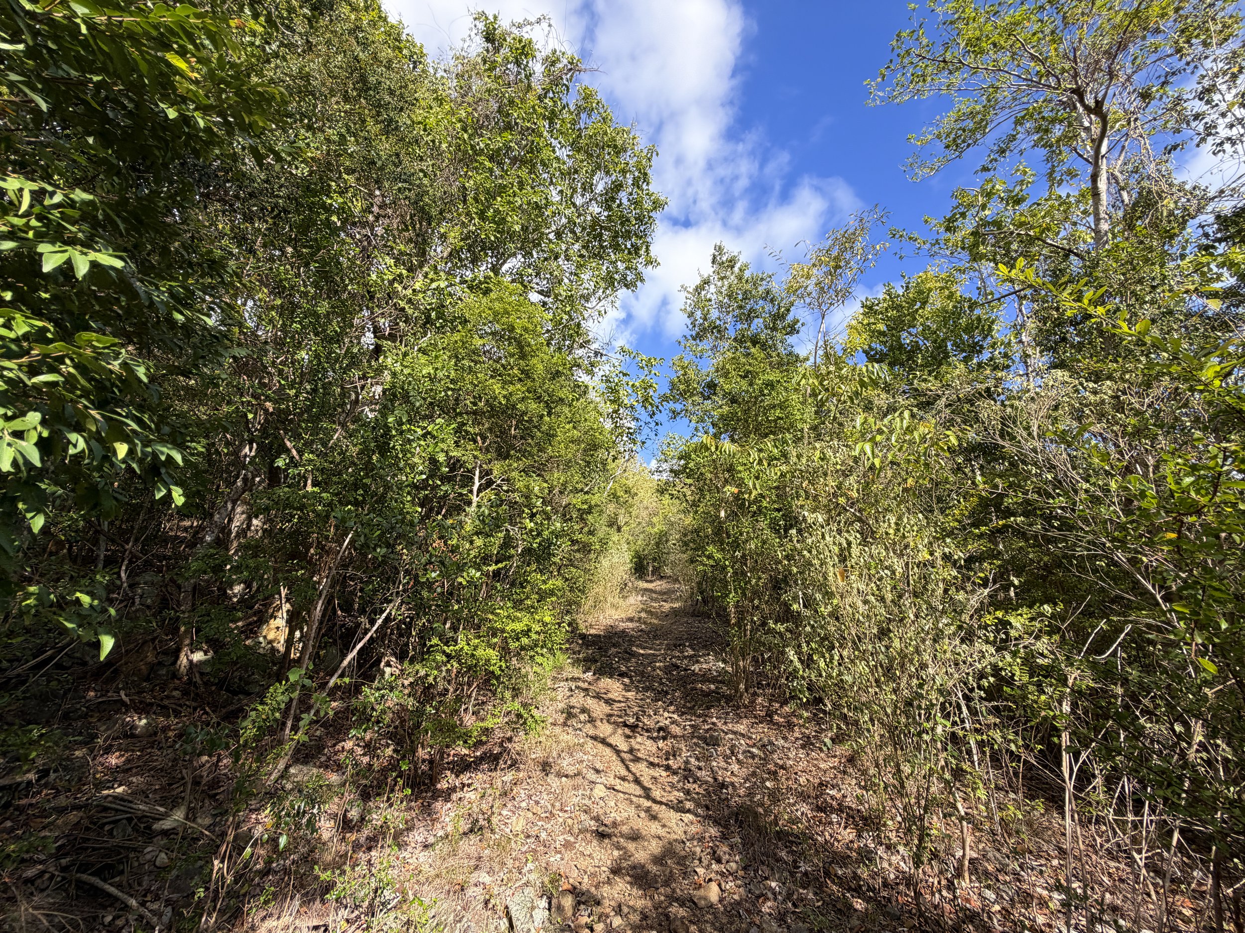 Johnny Horn Hike Virgin Islands National Park
