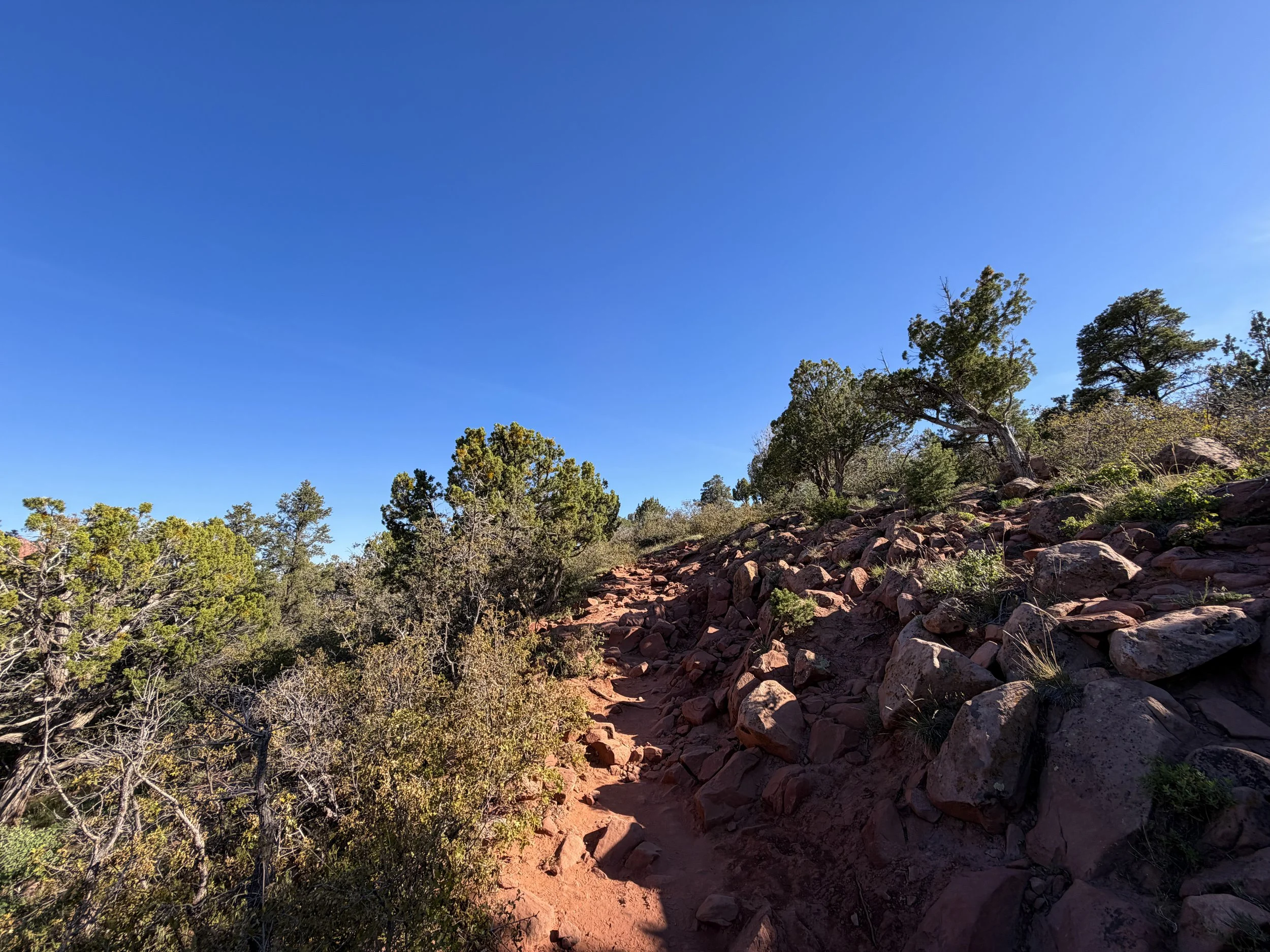 Timber Creek Overlook Trail Zion National Park Utah