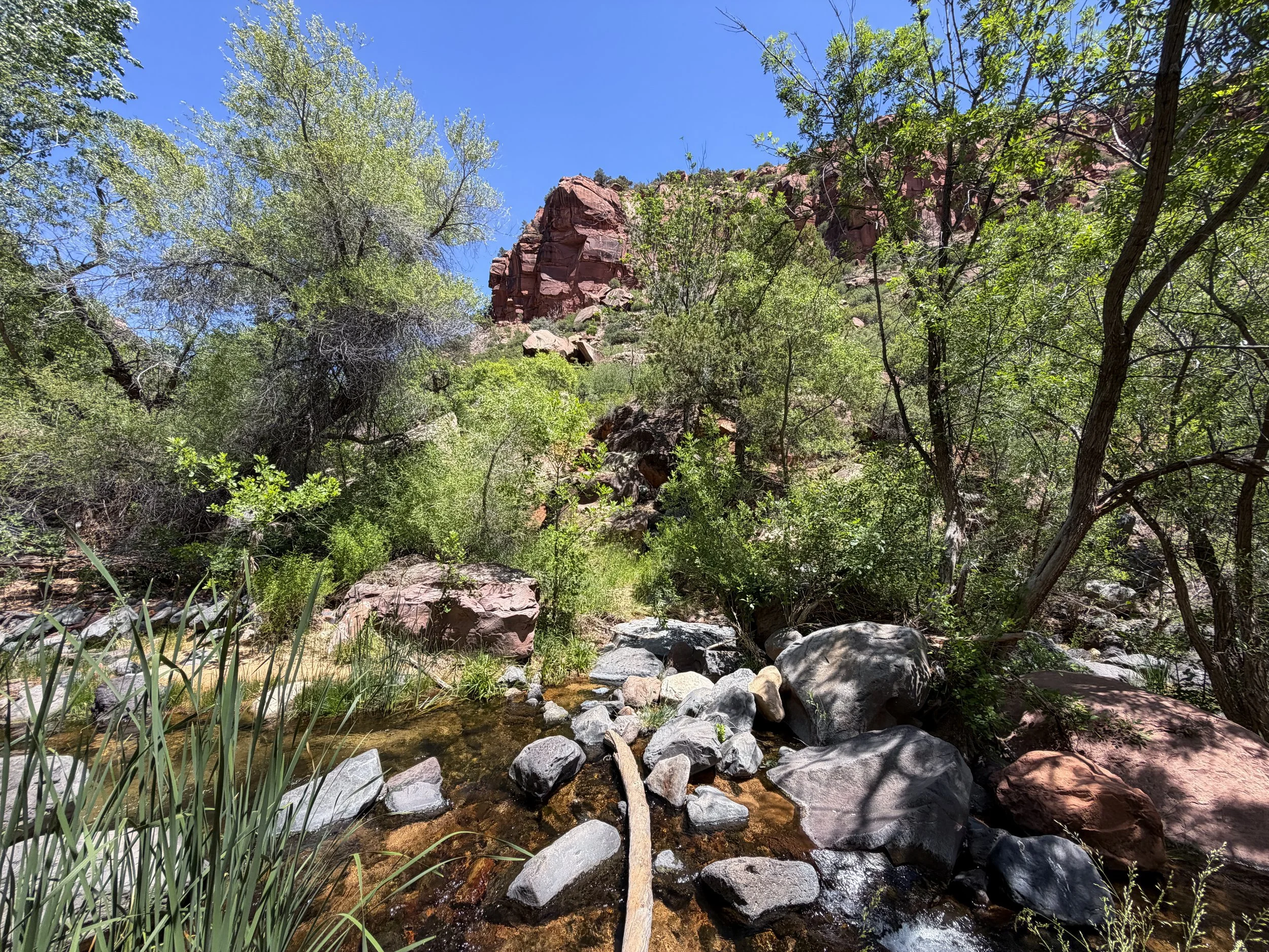 Grapevine Hike to Left Fork Falls Zion National Park Utah